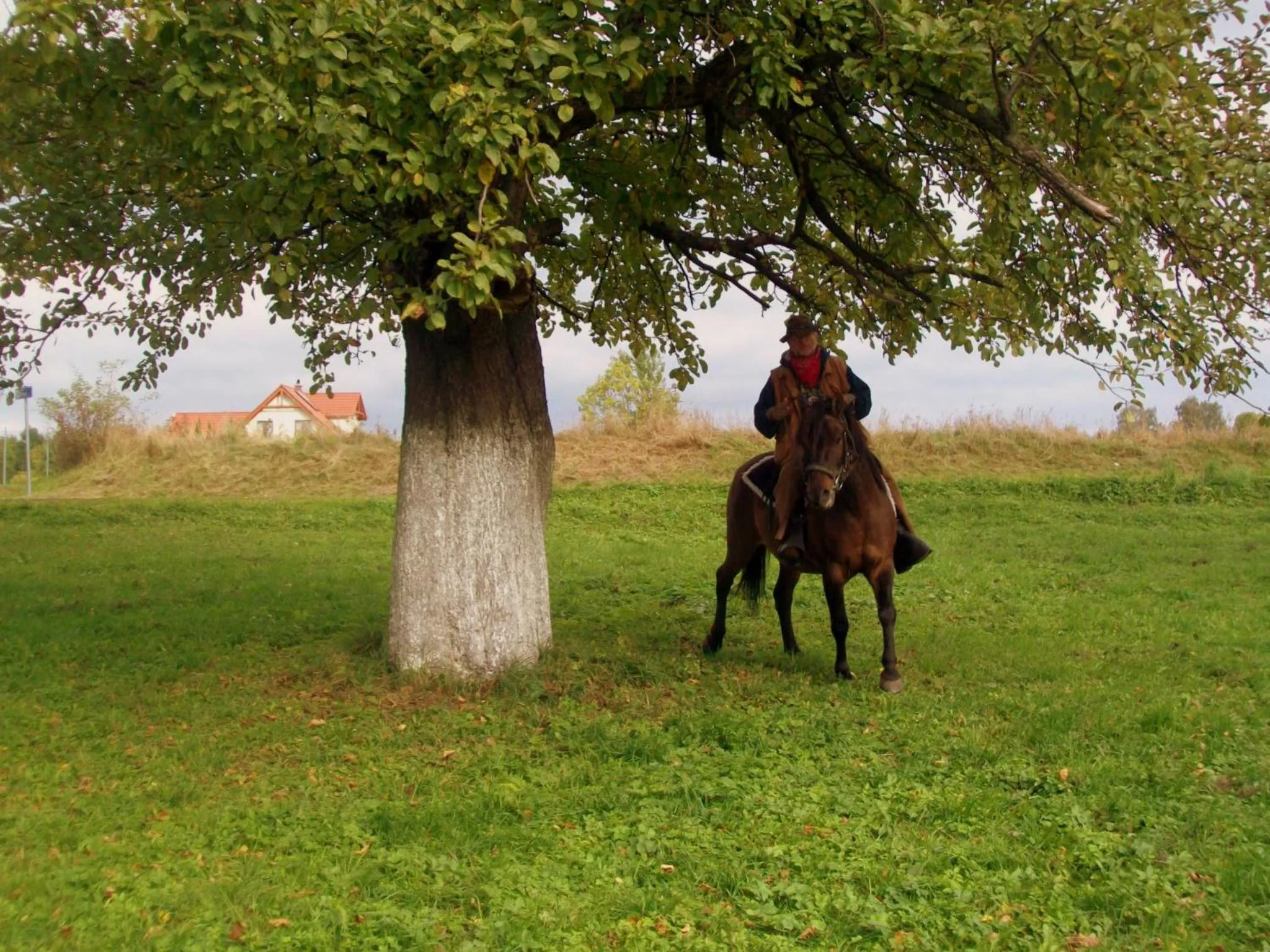 Area and facilities in Stara Kuźnia