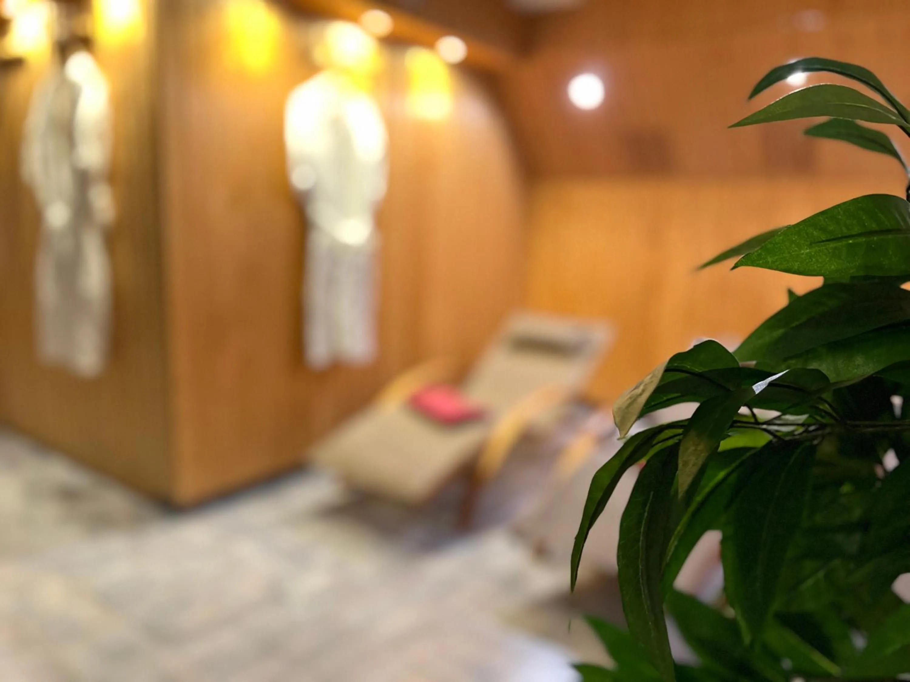 Spa and wellness centre/facilities in Hotel Ambiente