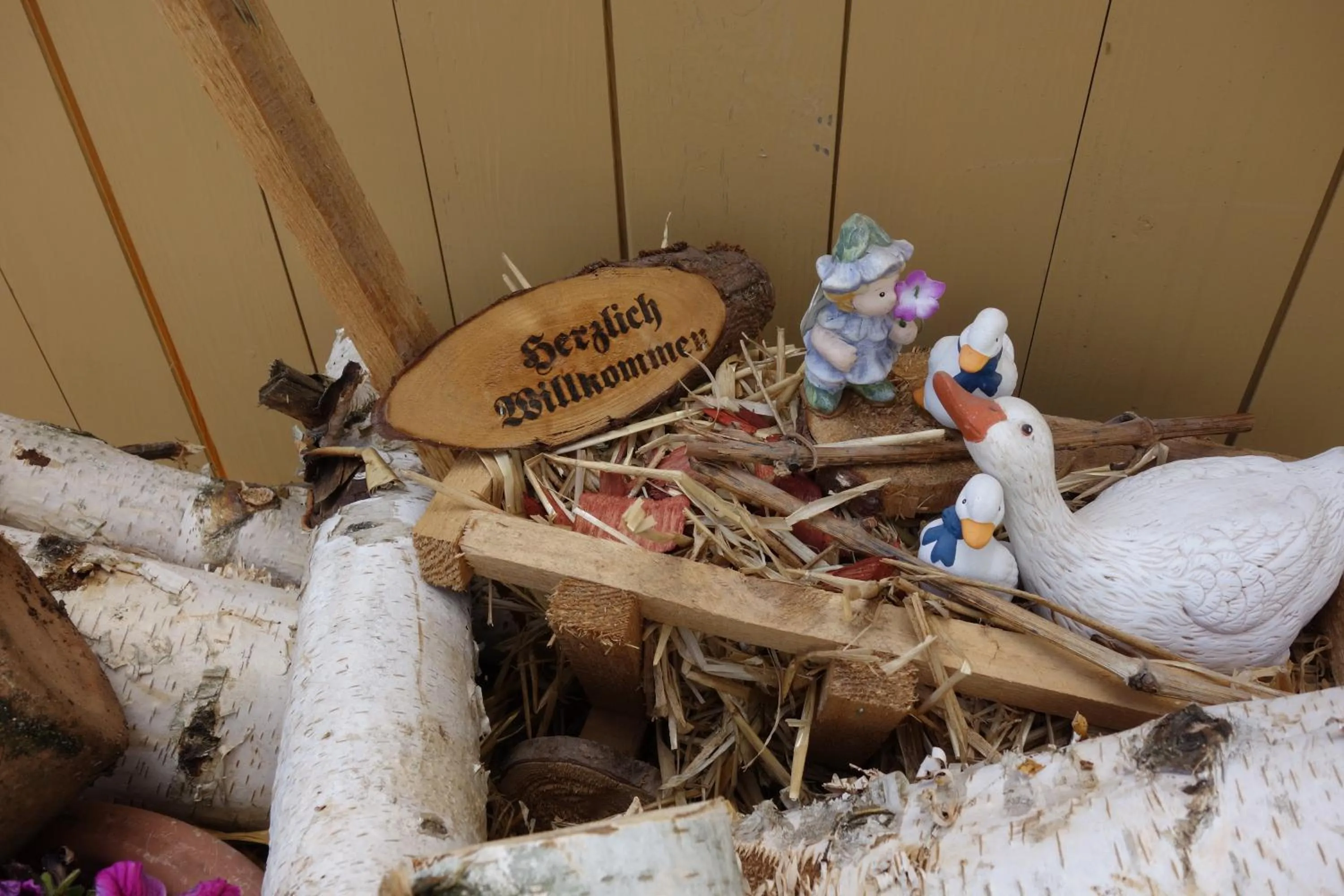 Area and facilities in Zehnthof