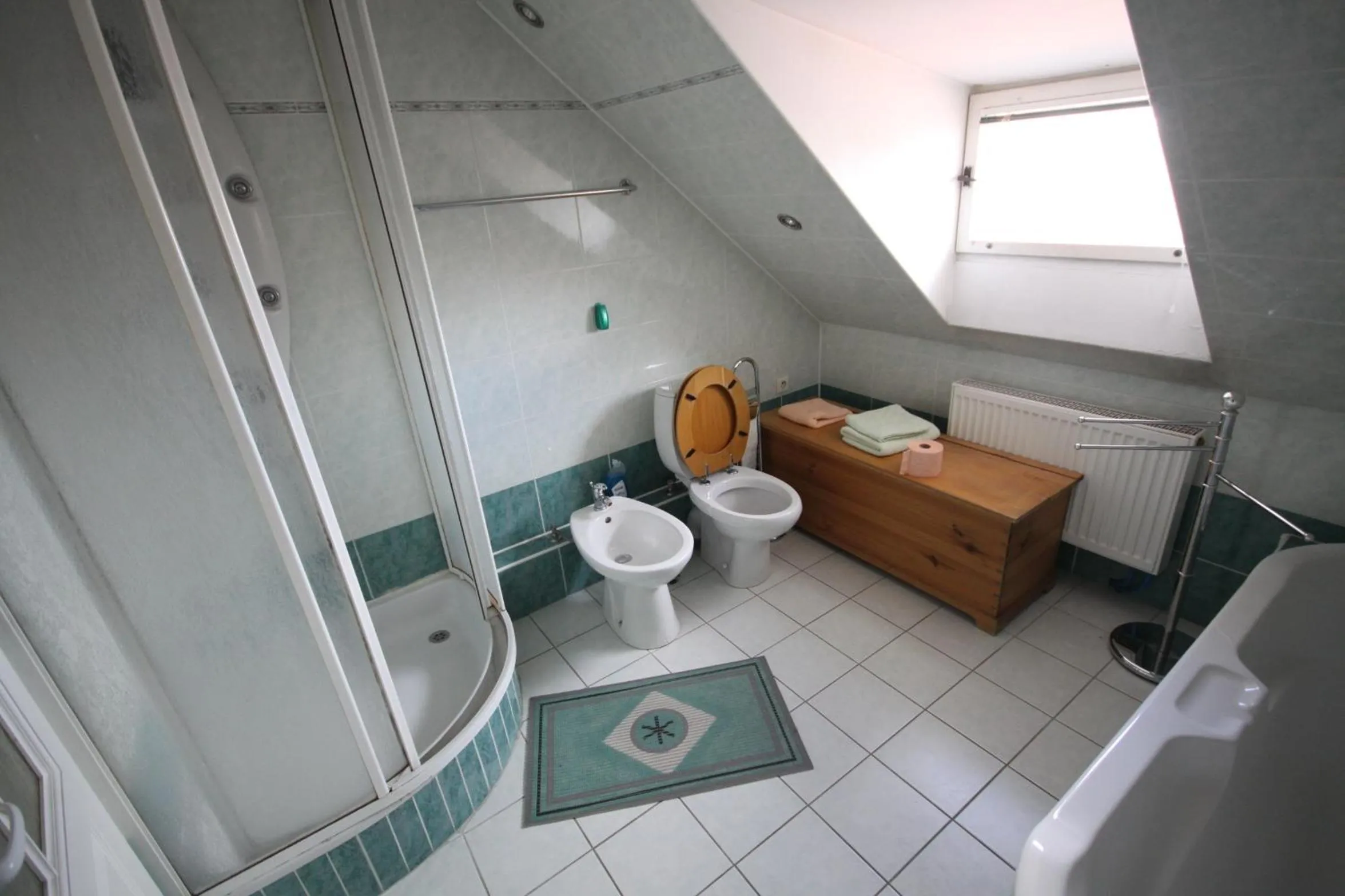 Shower in Penzion Eva Krnov