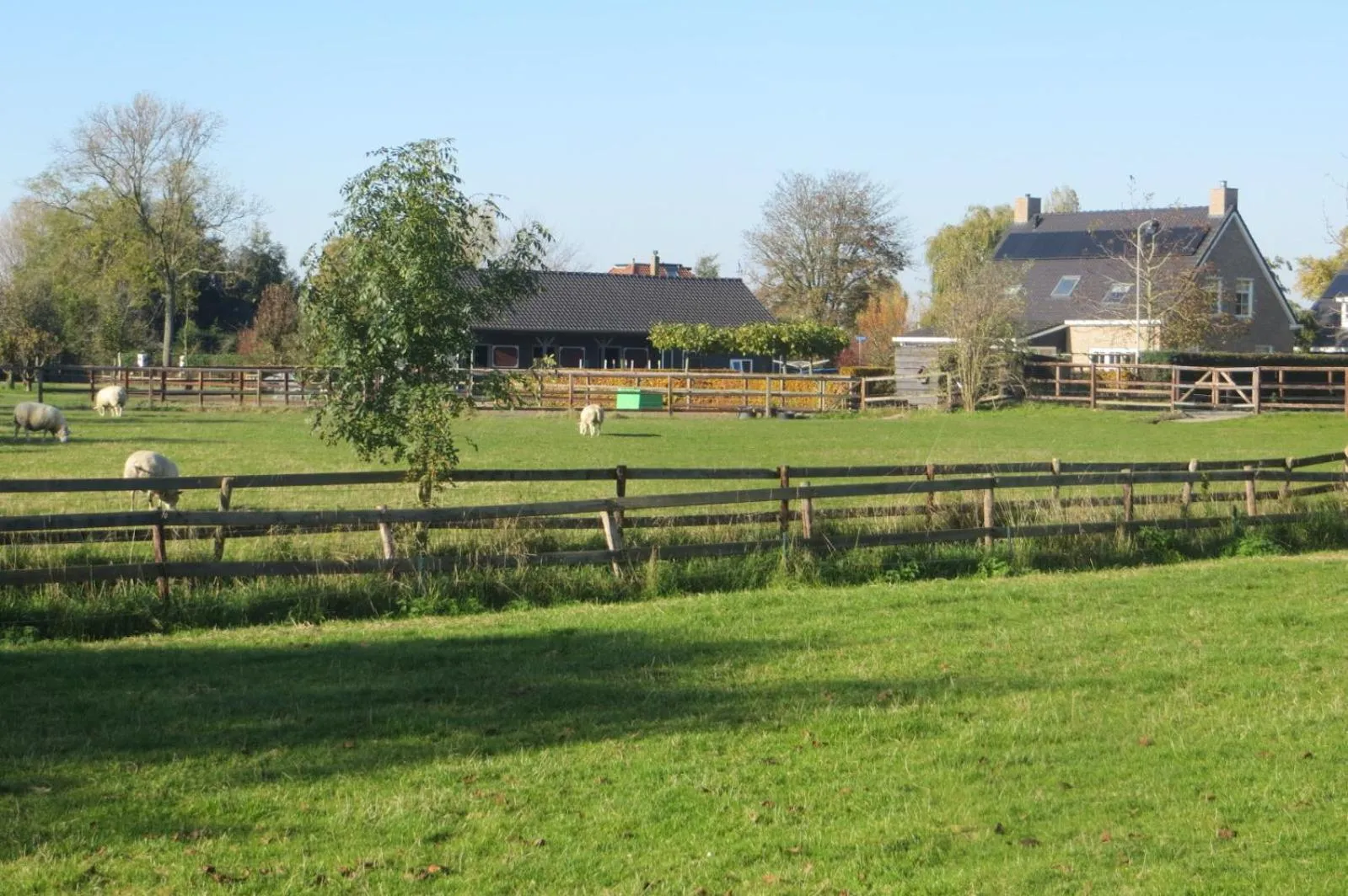 Garden in B&B Biesehof