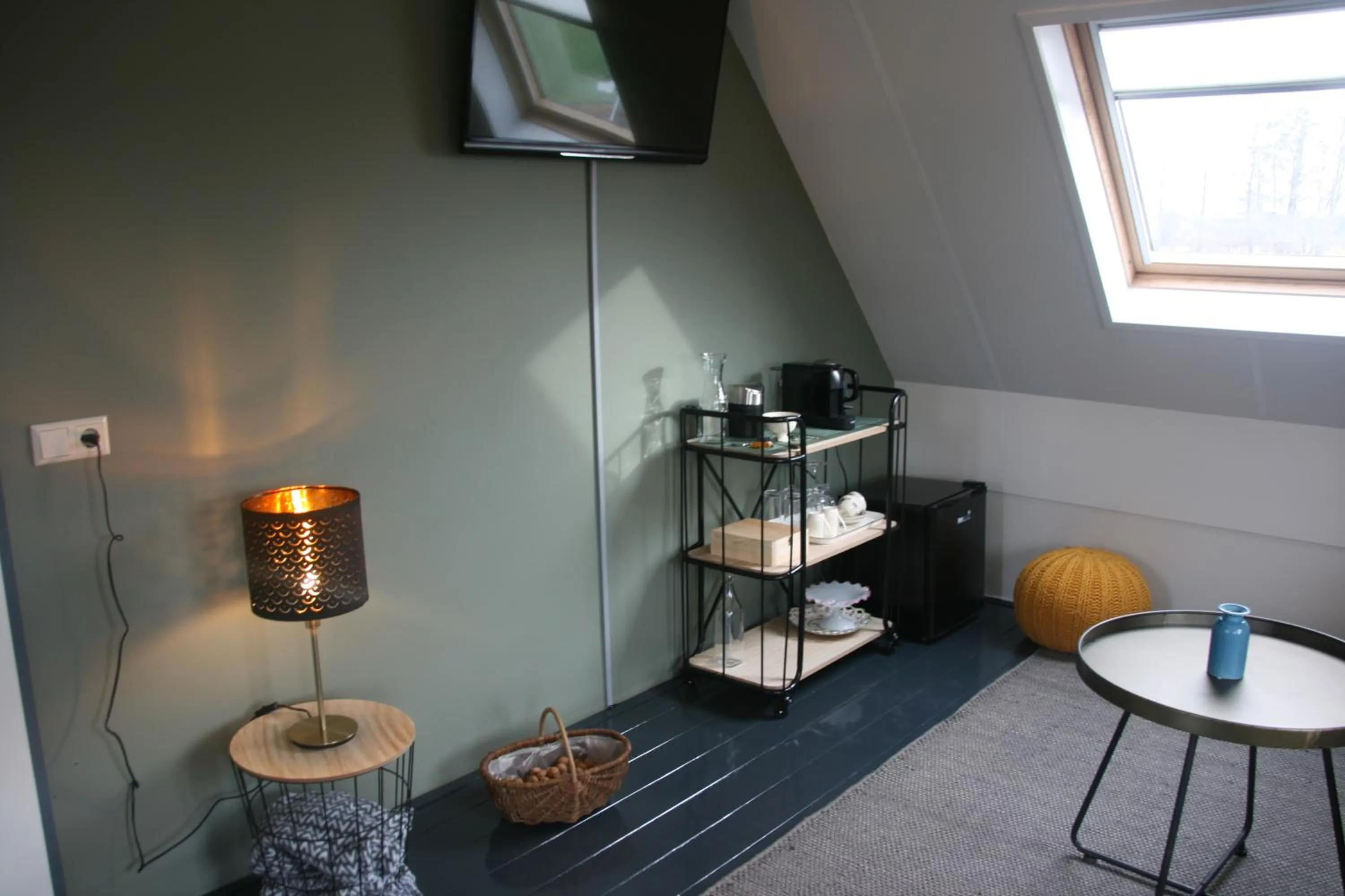 TV and multimedia in B&B Biesehof