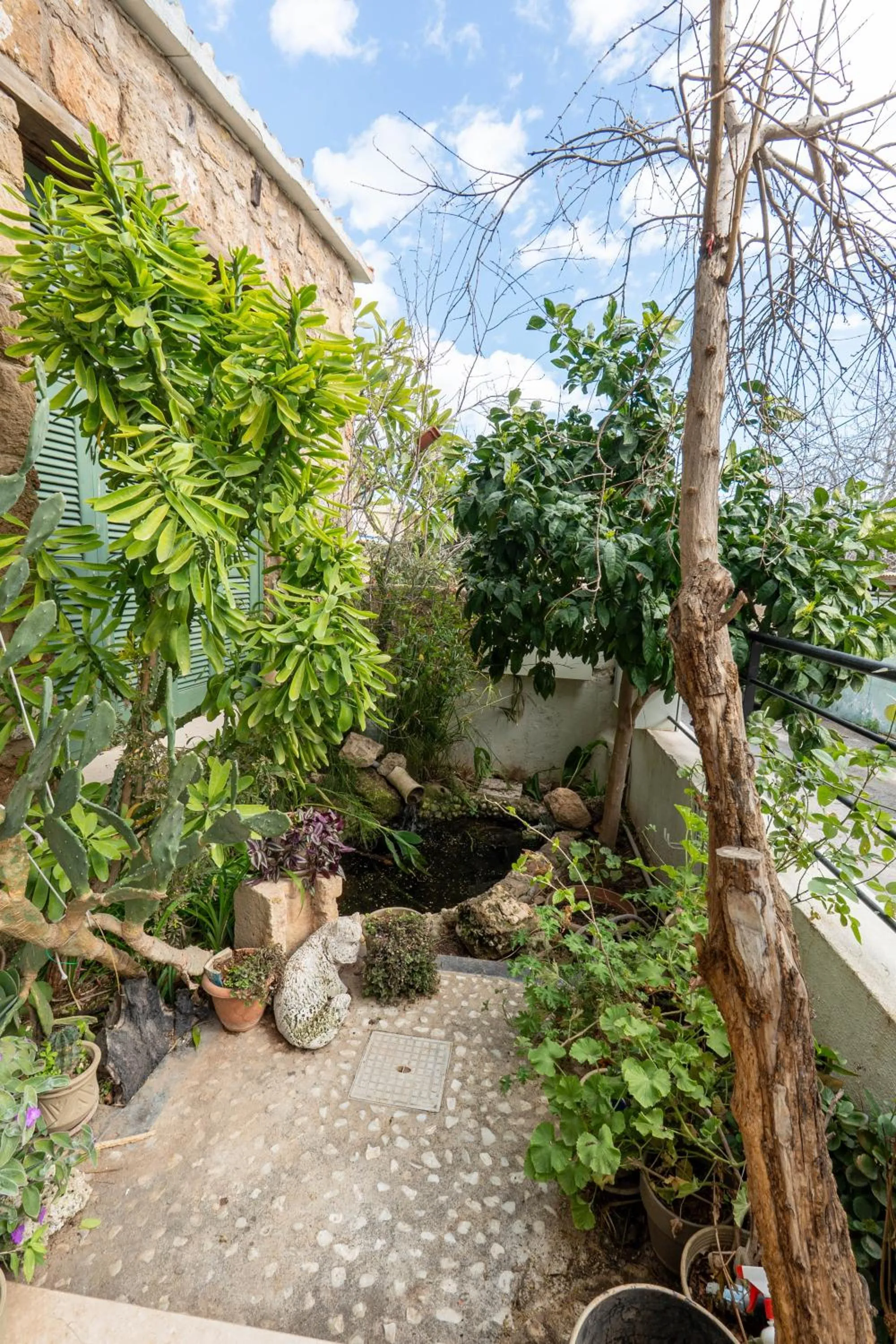 Garden in La Regina Veneziana