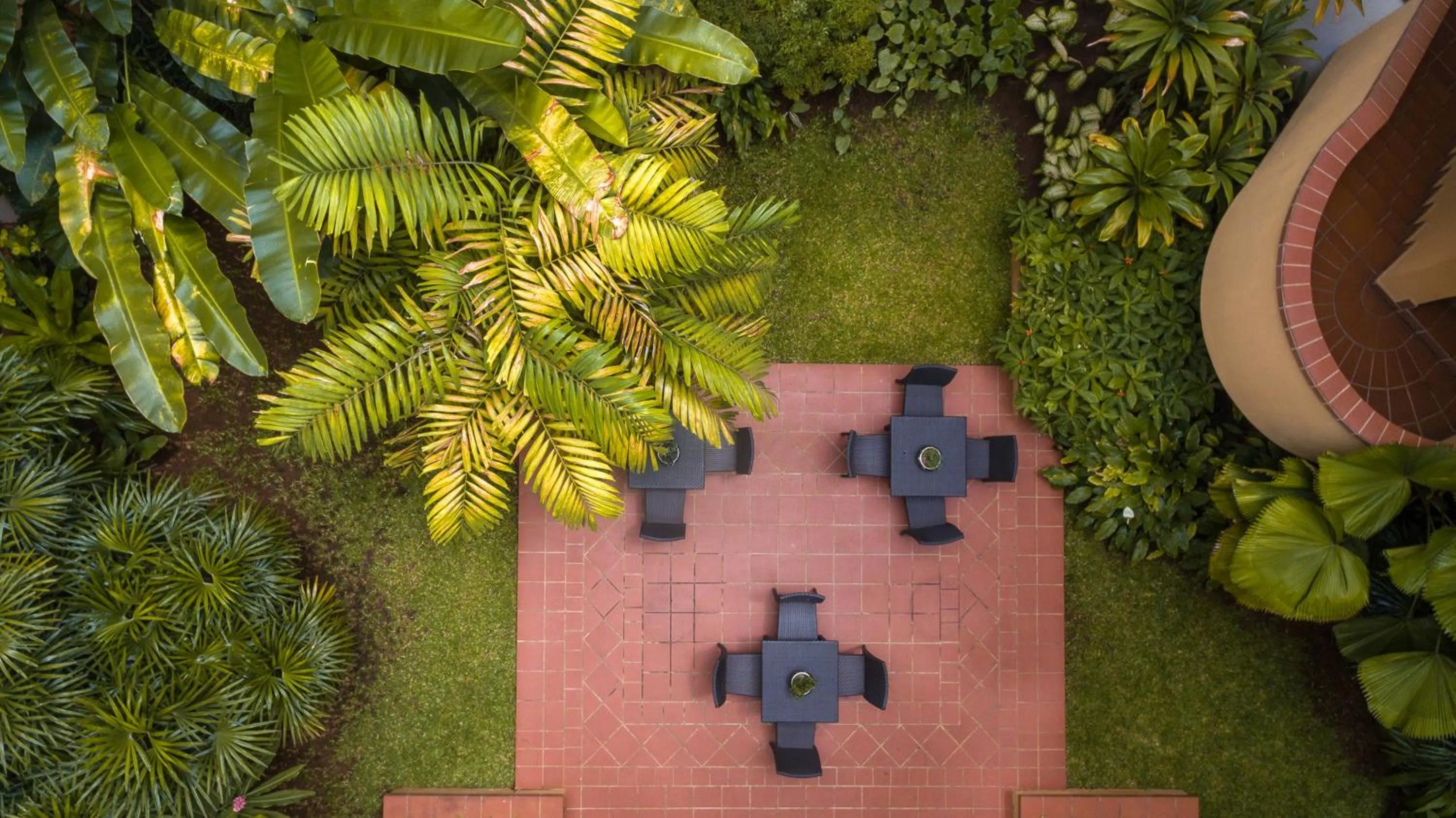 Garden in Sea Cliff Court Hotel & Luxury Apartments