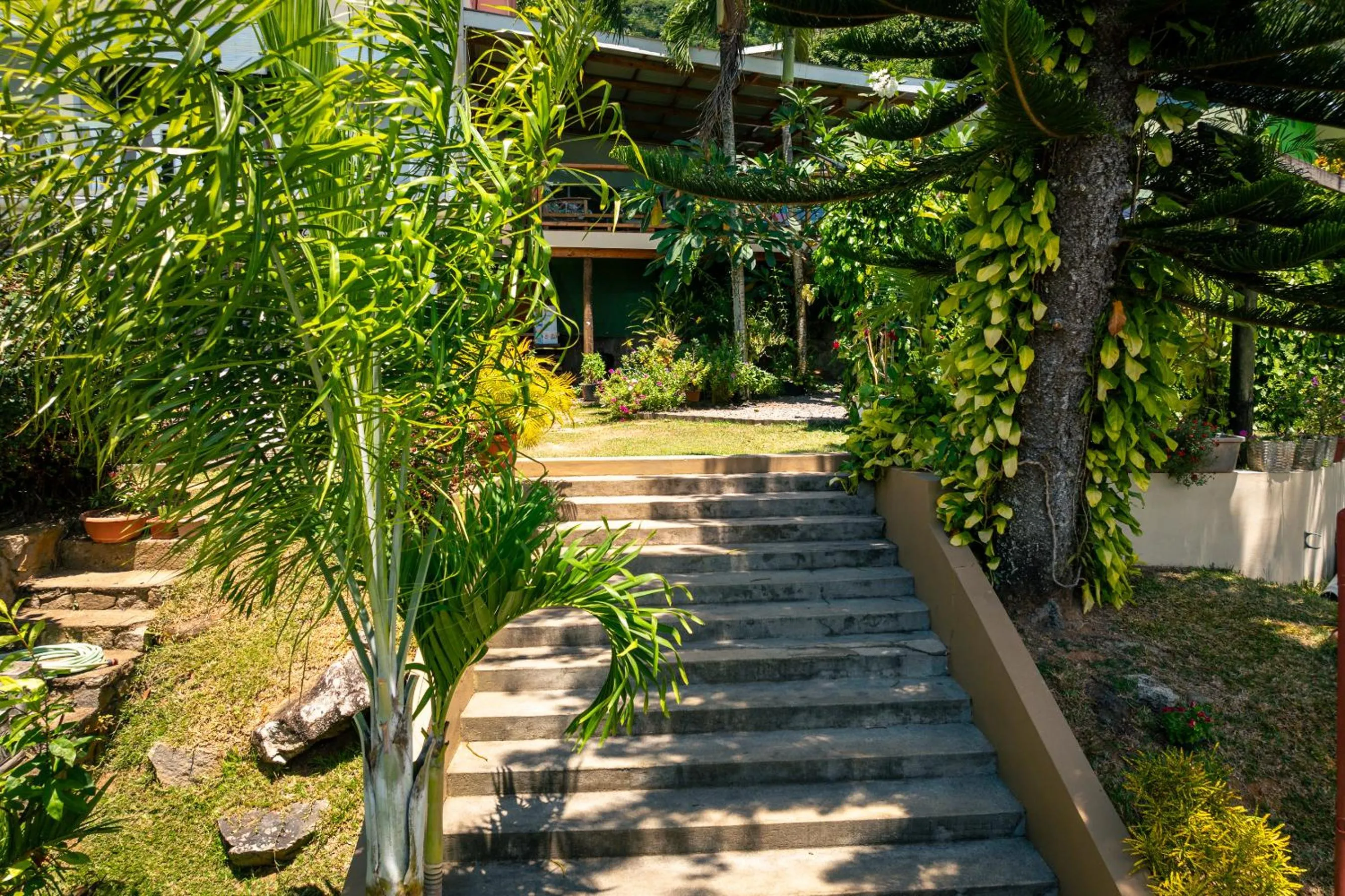 Natural landscape in Lemongrass Lodge