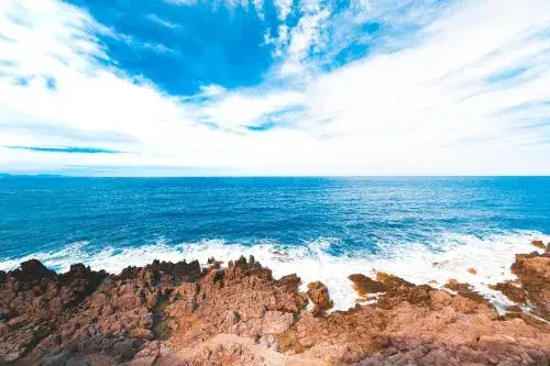 Taliammari Taliammari