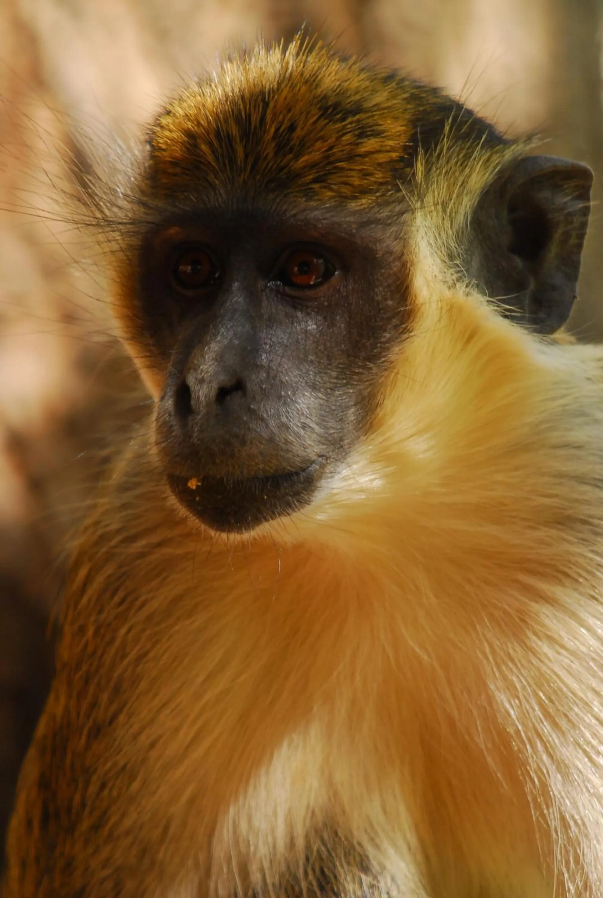 Off site in Baobab Soleil