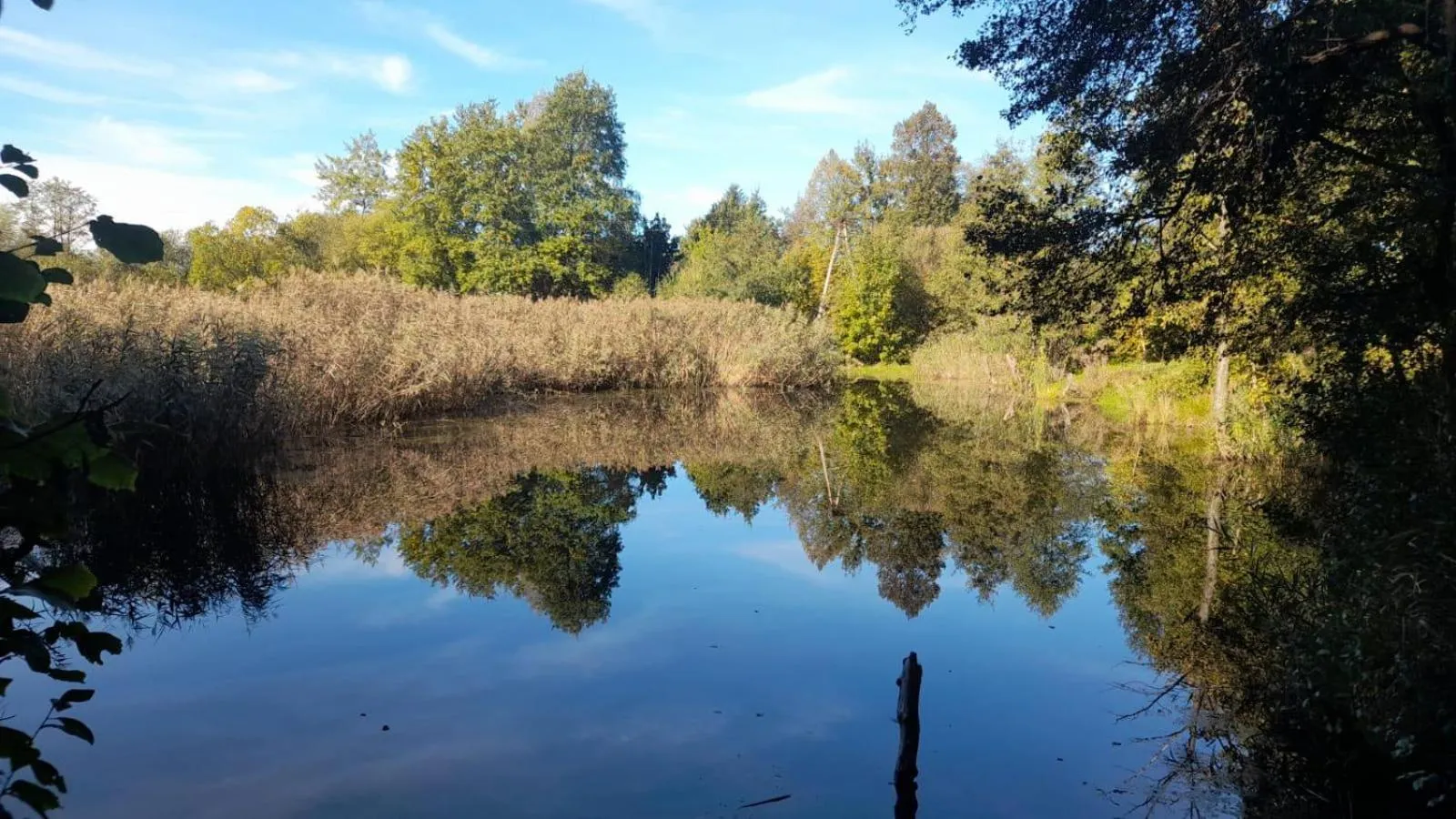 Natural landscape in OSADA POD LASEM