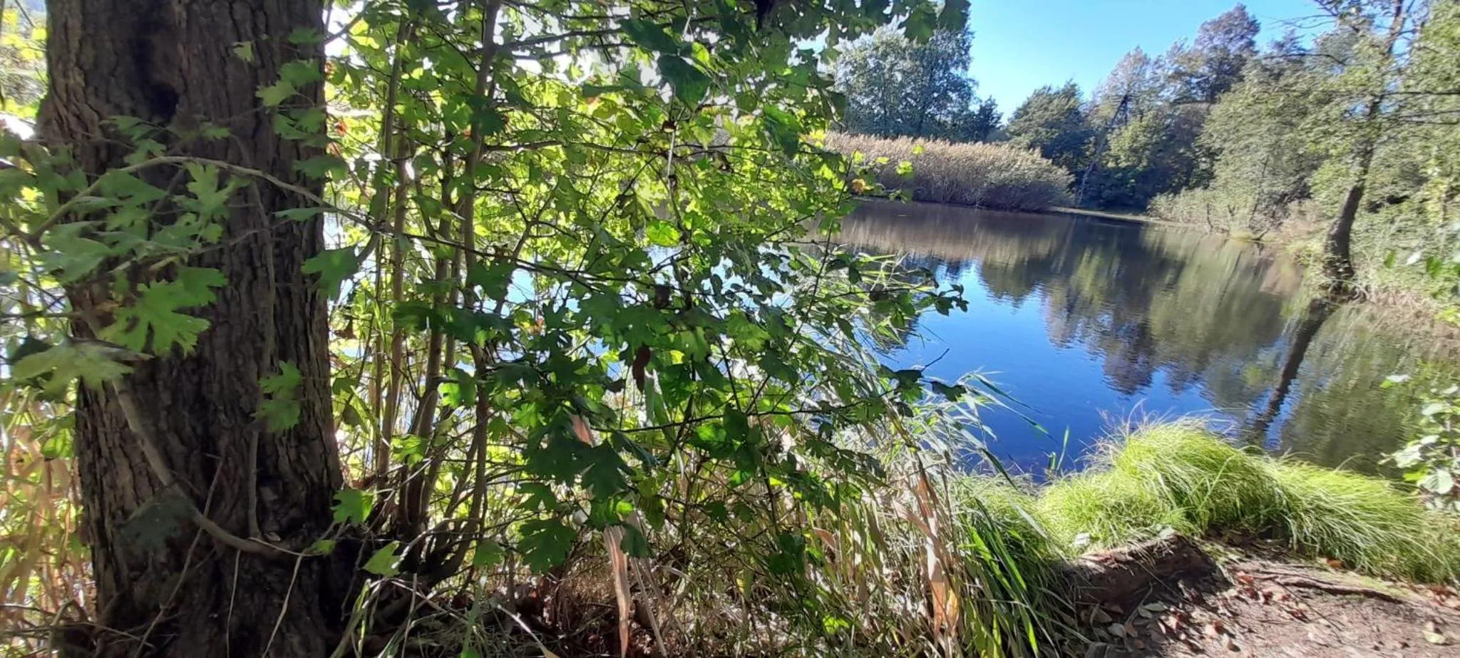 Natural landscape in OSADA POD LASEM