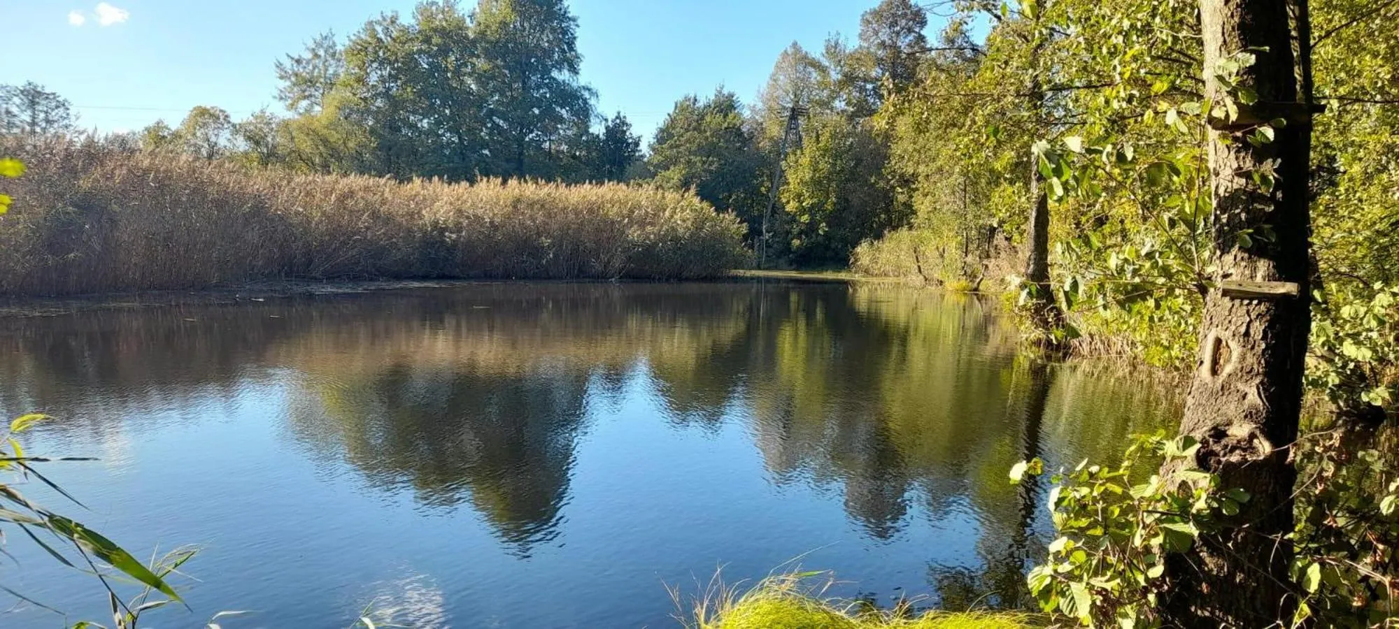 Natural landscape in OSADA POD LASEM