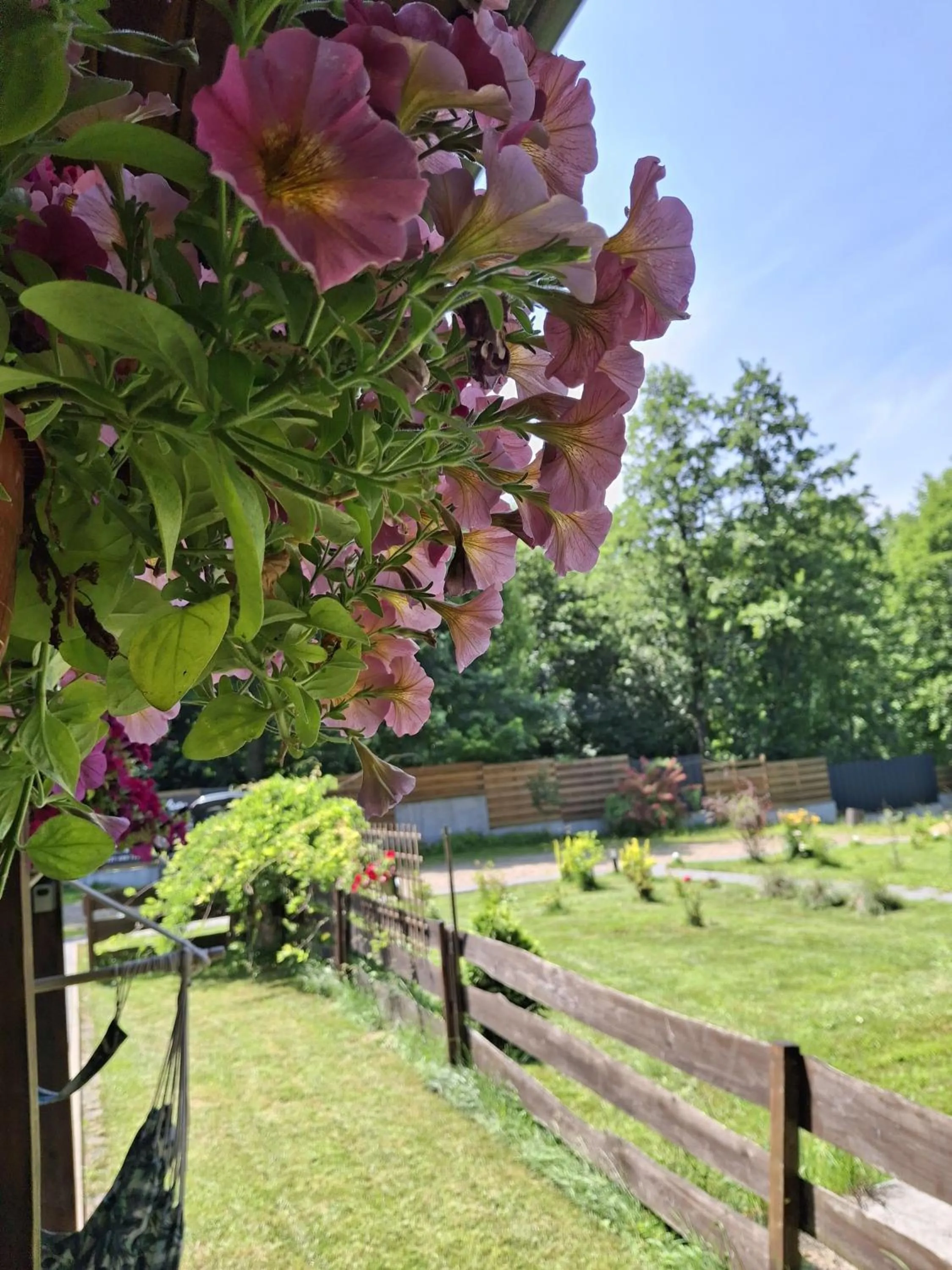 Garden in OSADA POD LASEM