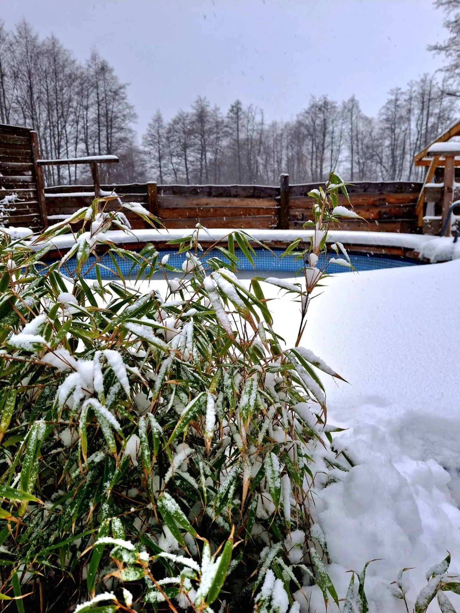 Winter in OSADA POD LASEM