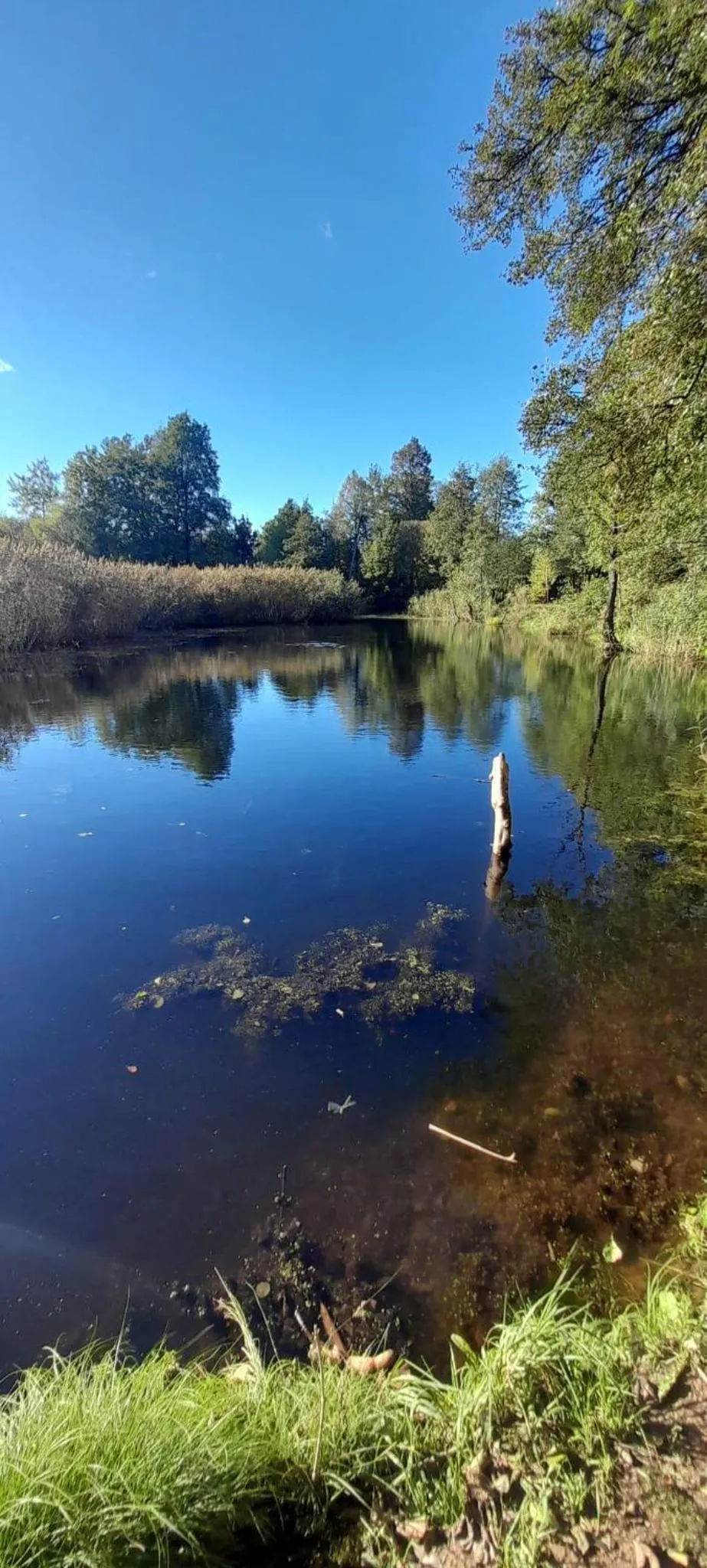 Natural landscape in OSADA POD LASEM