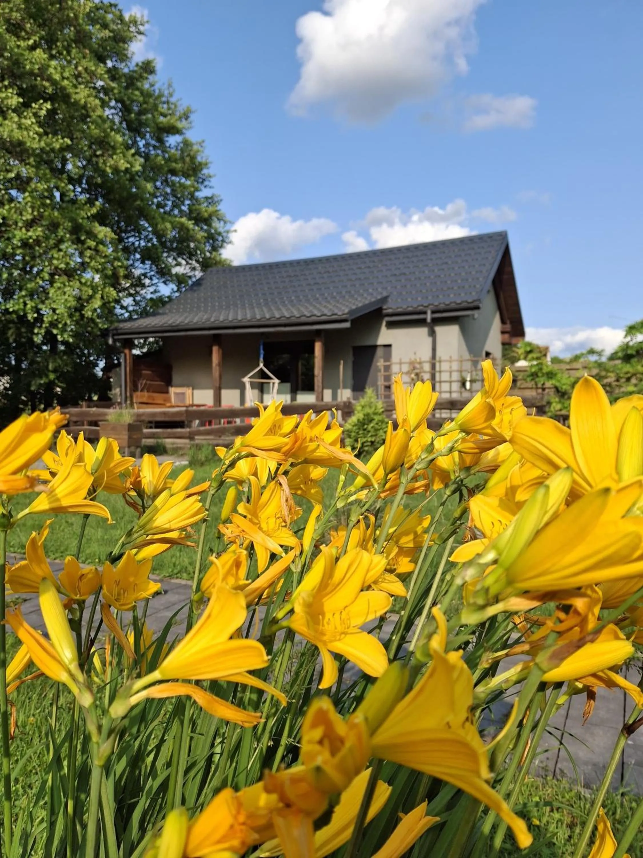 Garden in OSADA POD LASEM