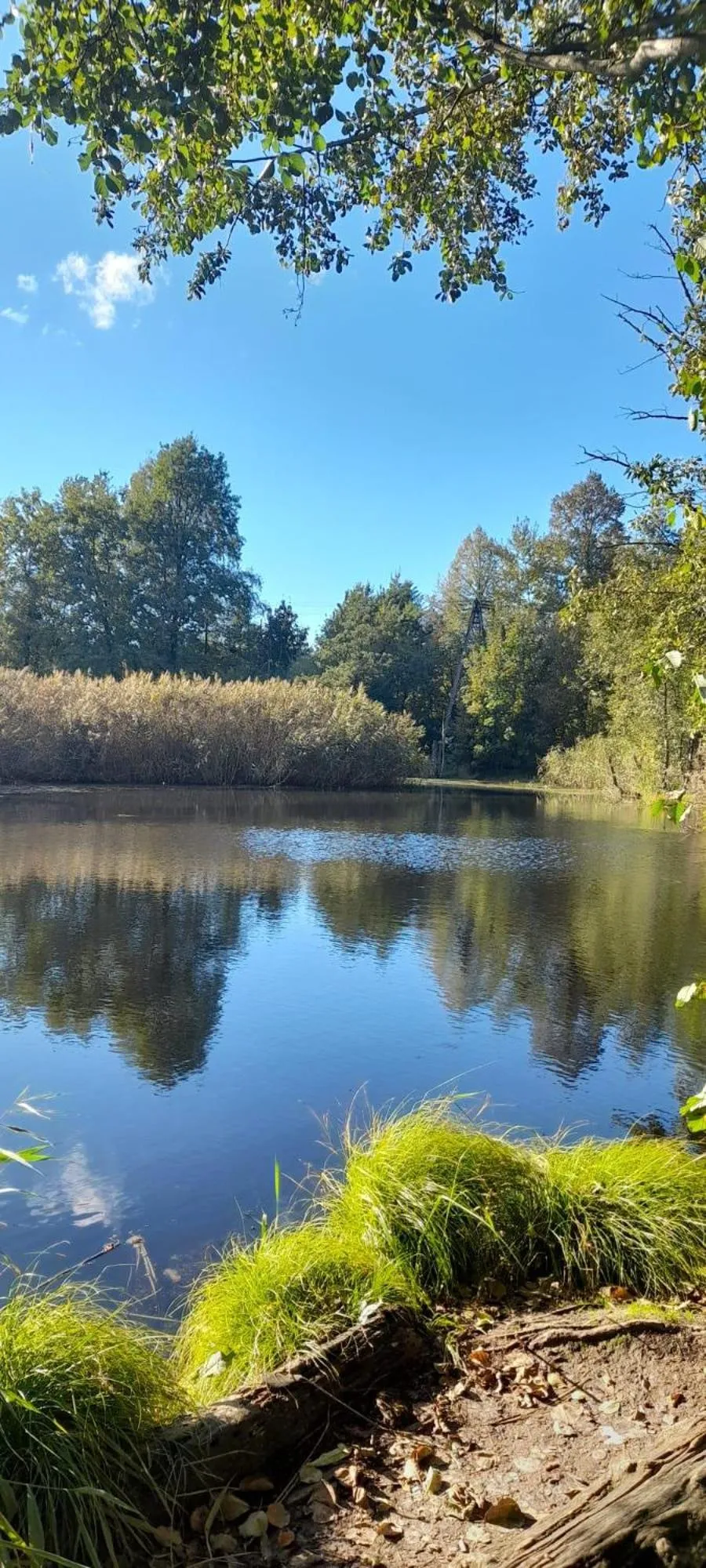 Natural landscape in OSADA POD LASEM