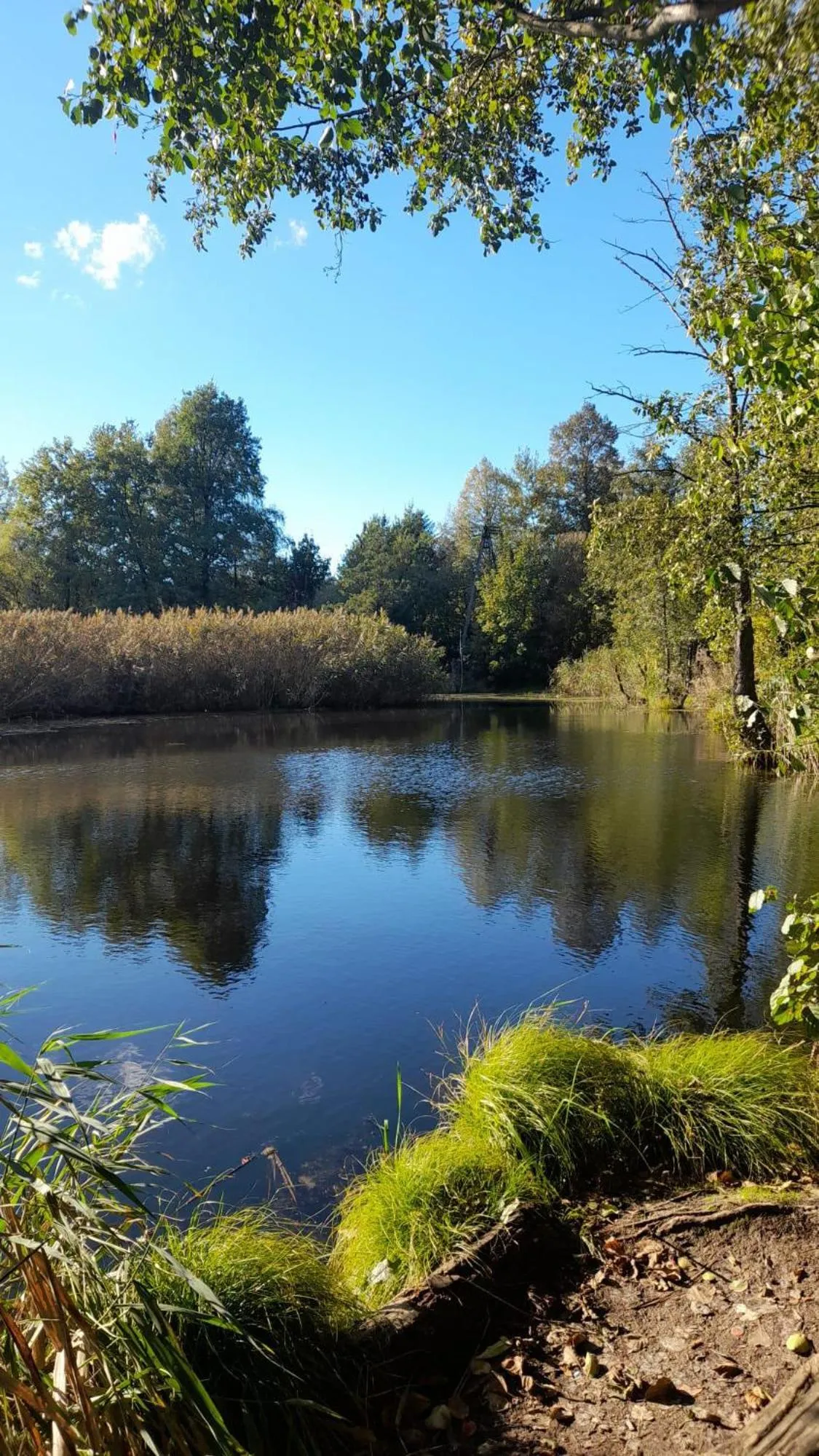 Natural landscape in OSADA POD LASEM