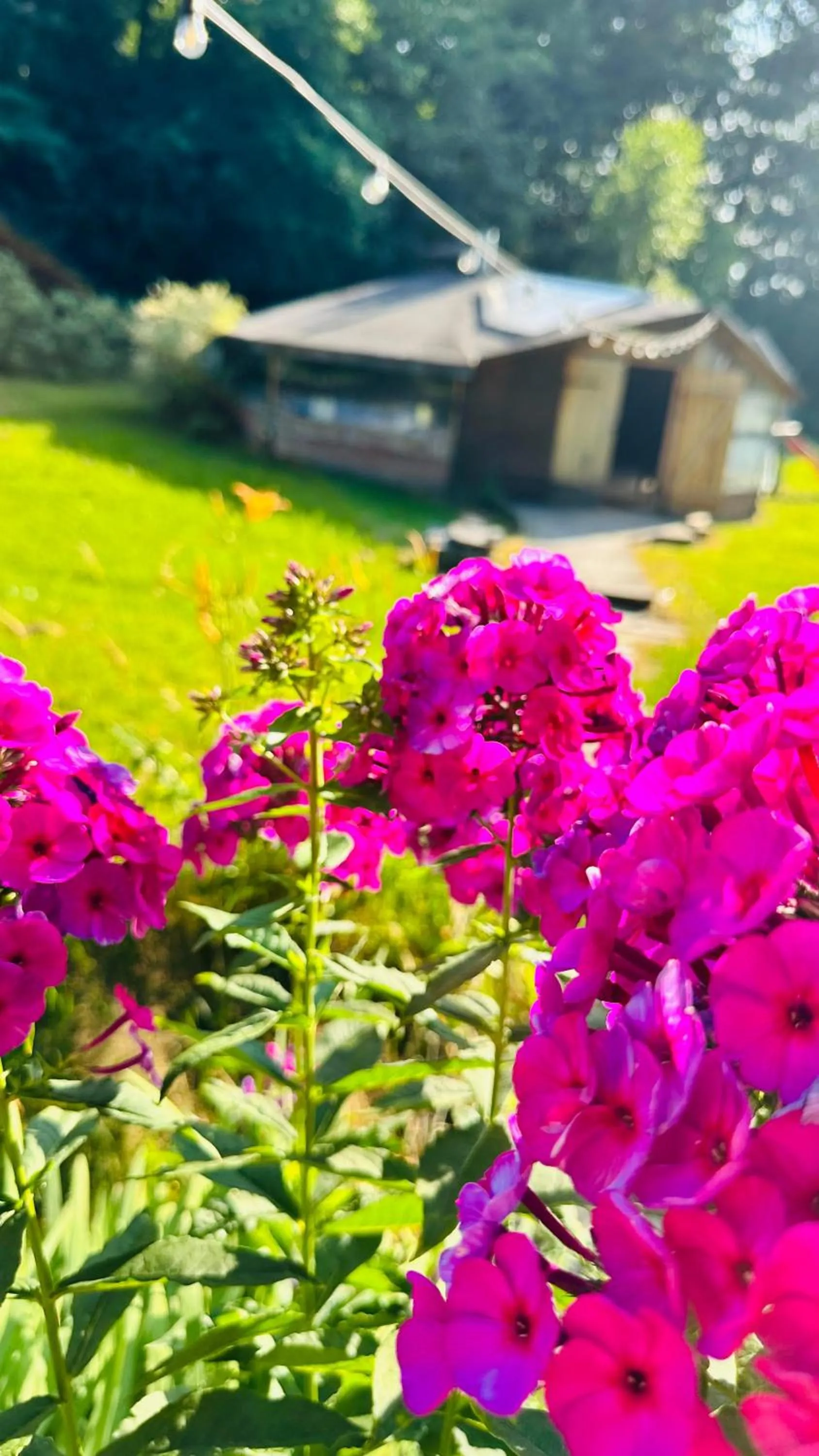 BBQ facilities in OSADA POD LASEM