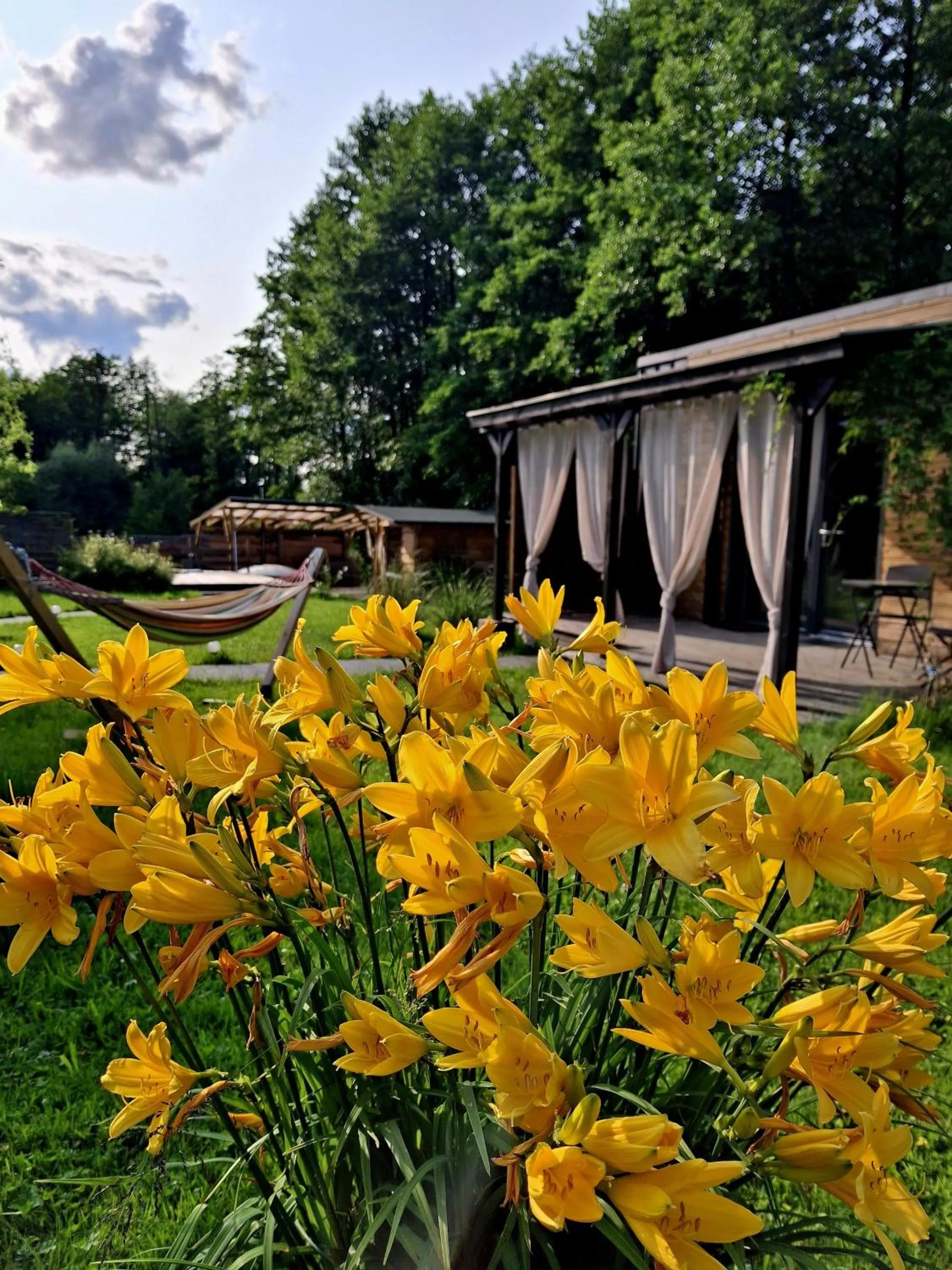 Garden in OSADA POD LASEM