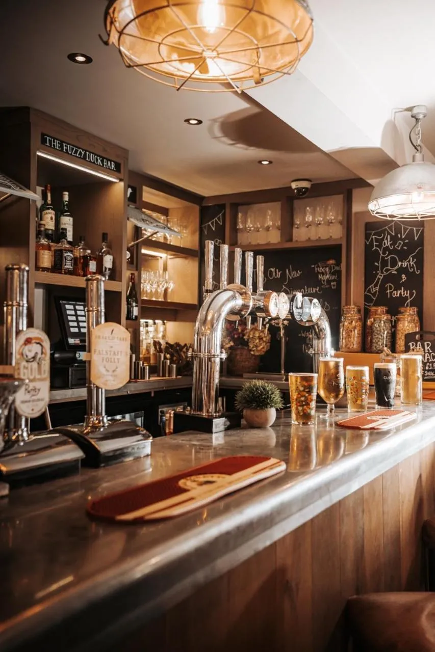 Lounge or bar in The Fuzzy Duck