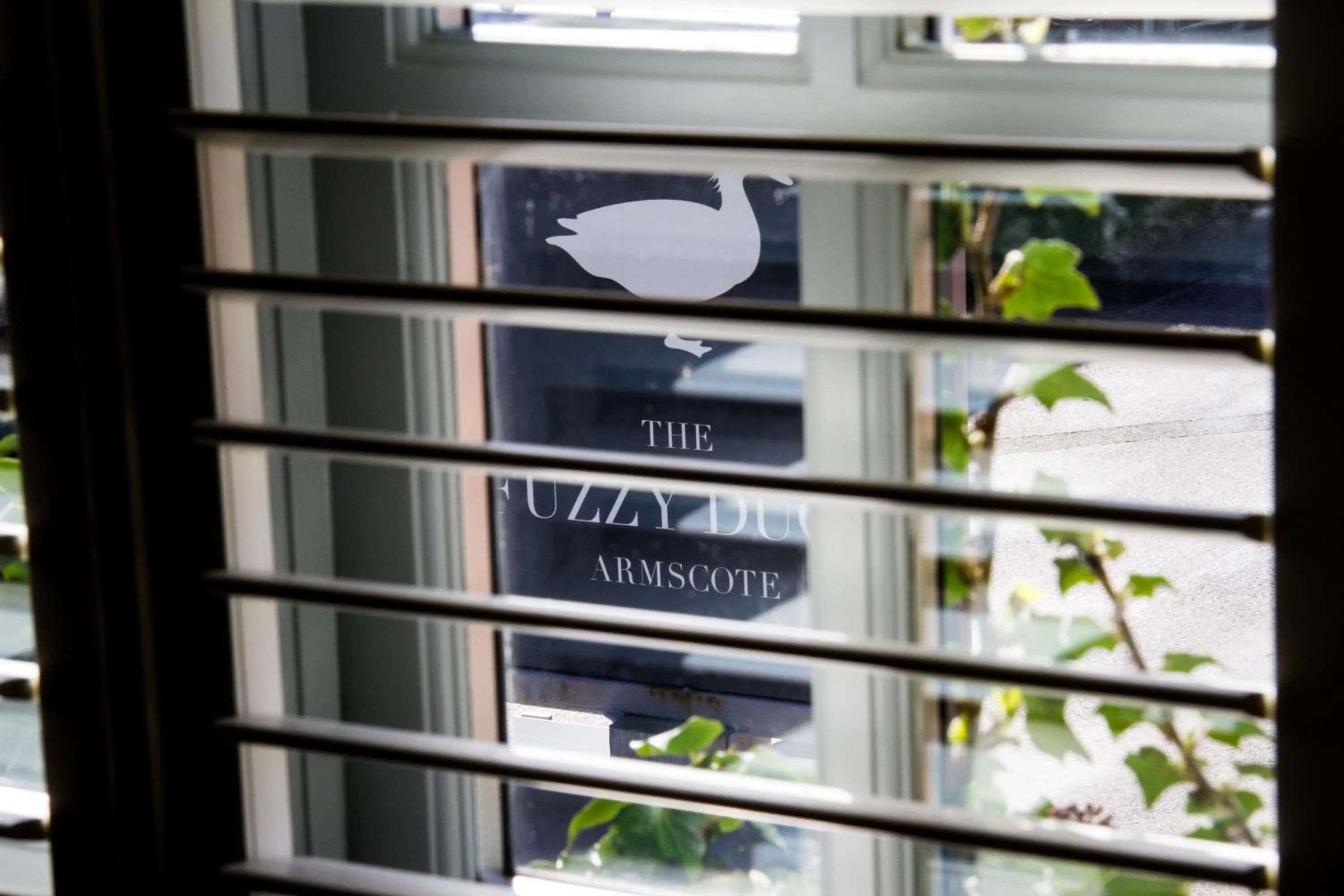 Property building in The Fuzzy Duck