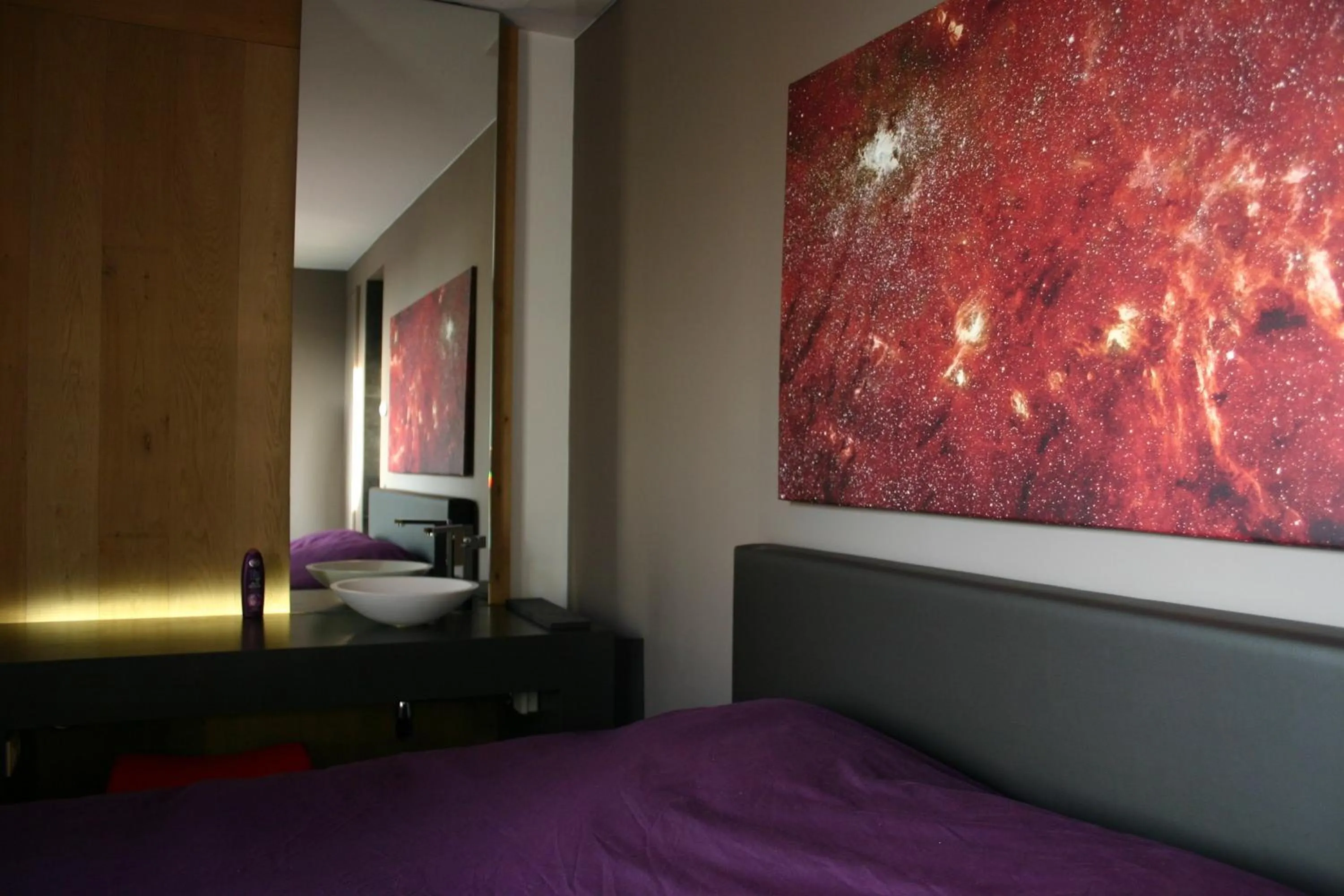 Standard Double Room - single occupancy in Loft Aan Het Water