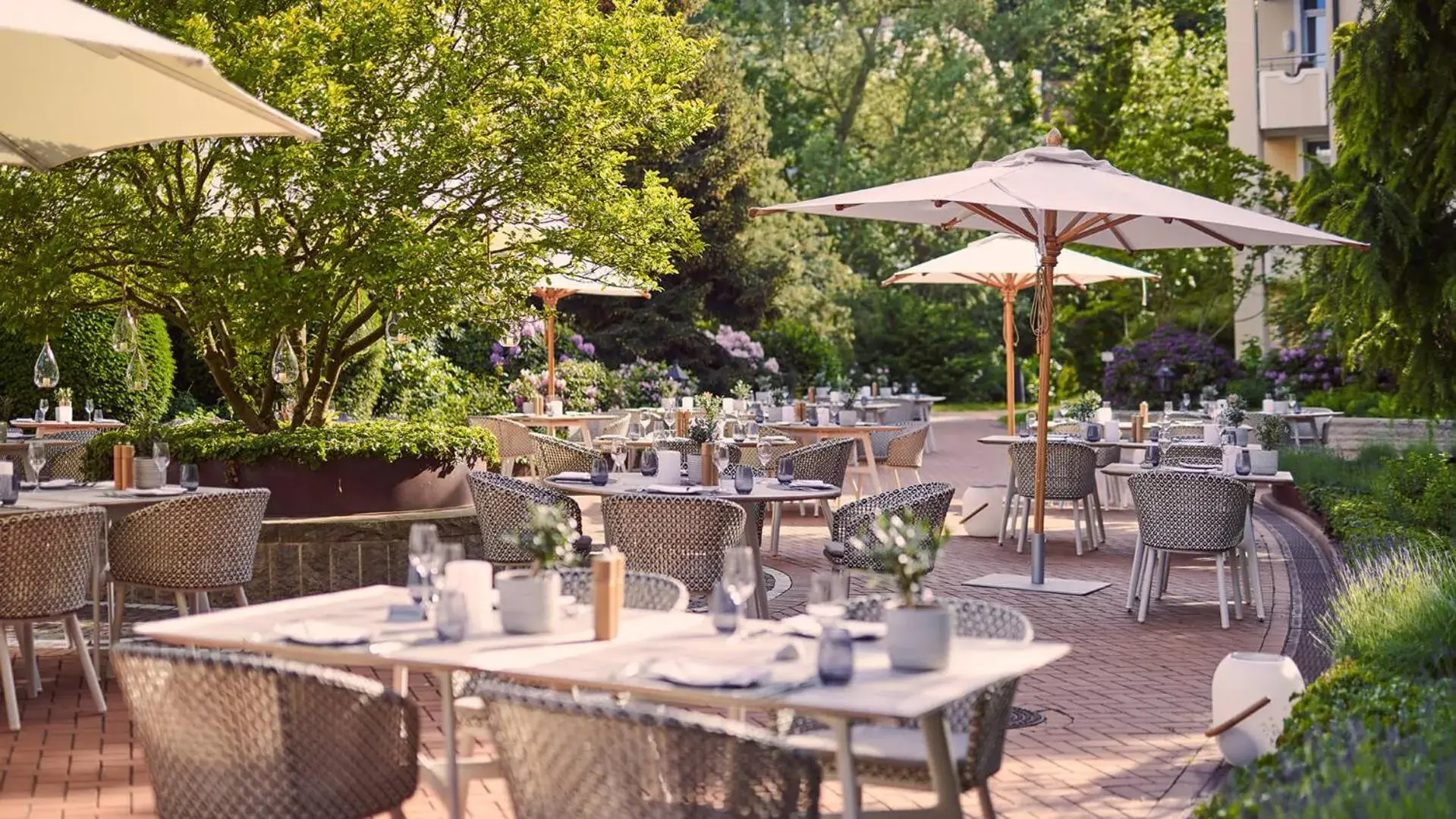 Restaurant/places to eat in VILA VITA Rosenpark Restaurant/places to eat in VILA VITA Rosenpark