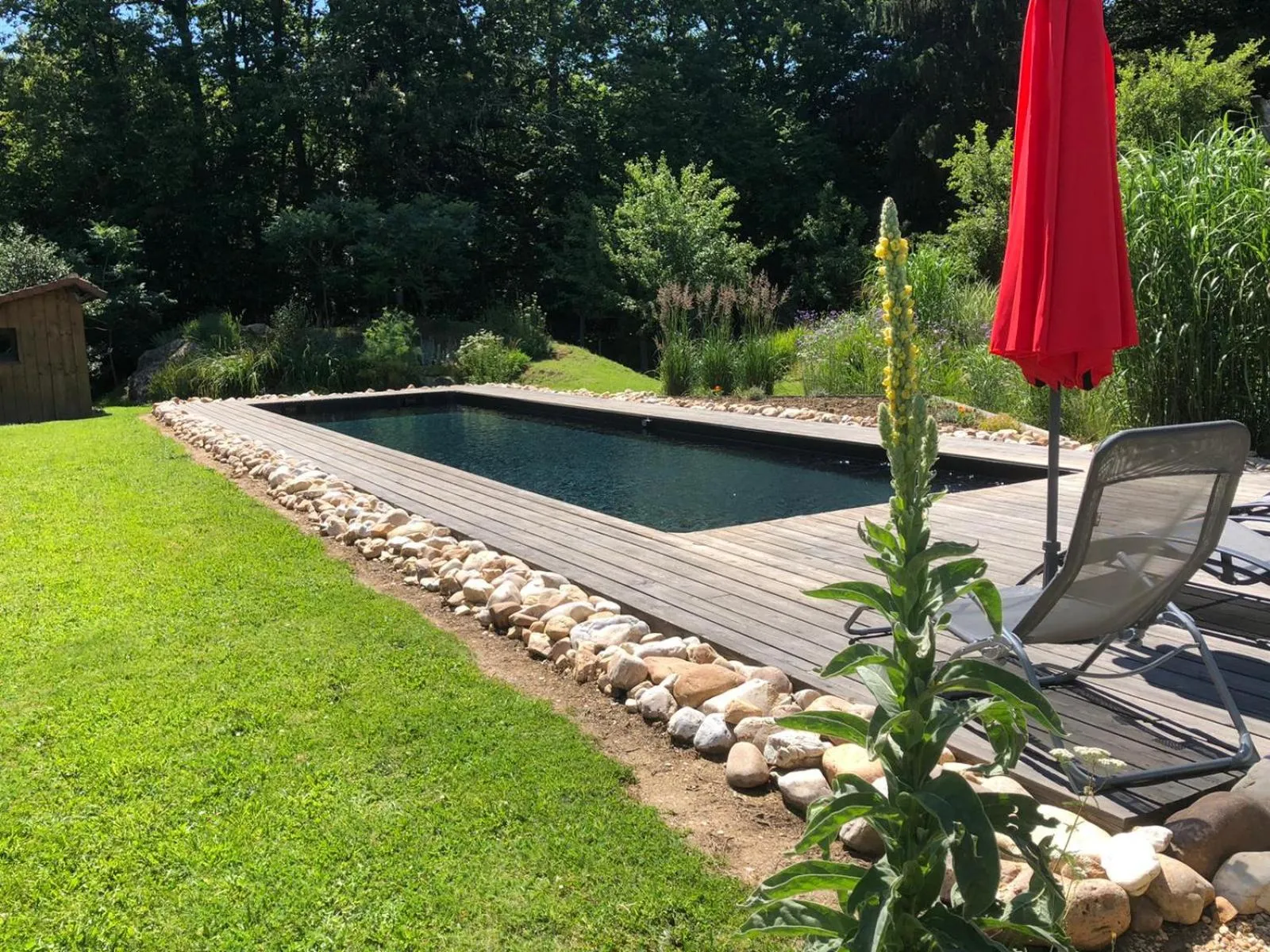 Pool view in Bienvenue au Mas