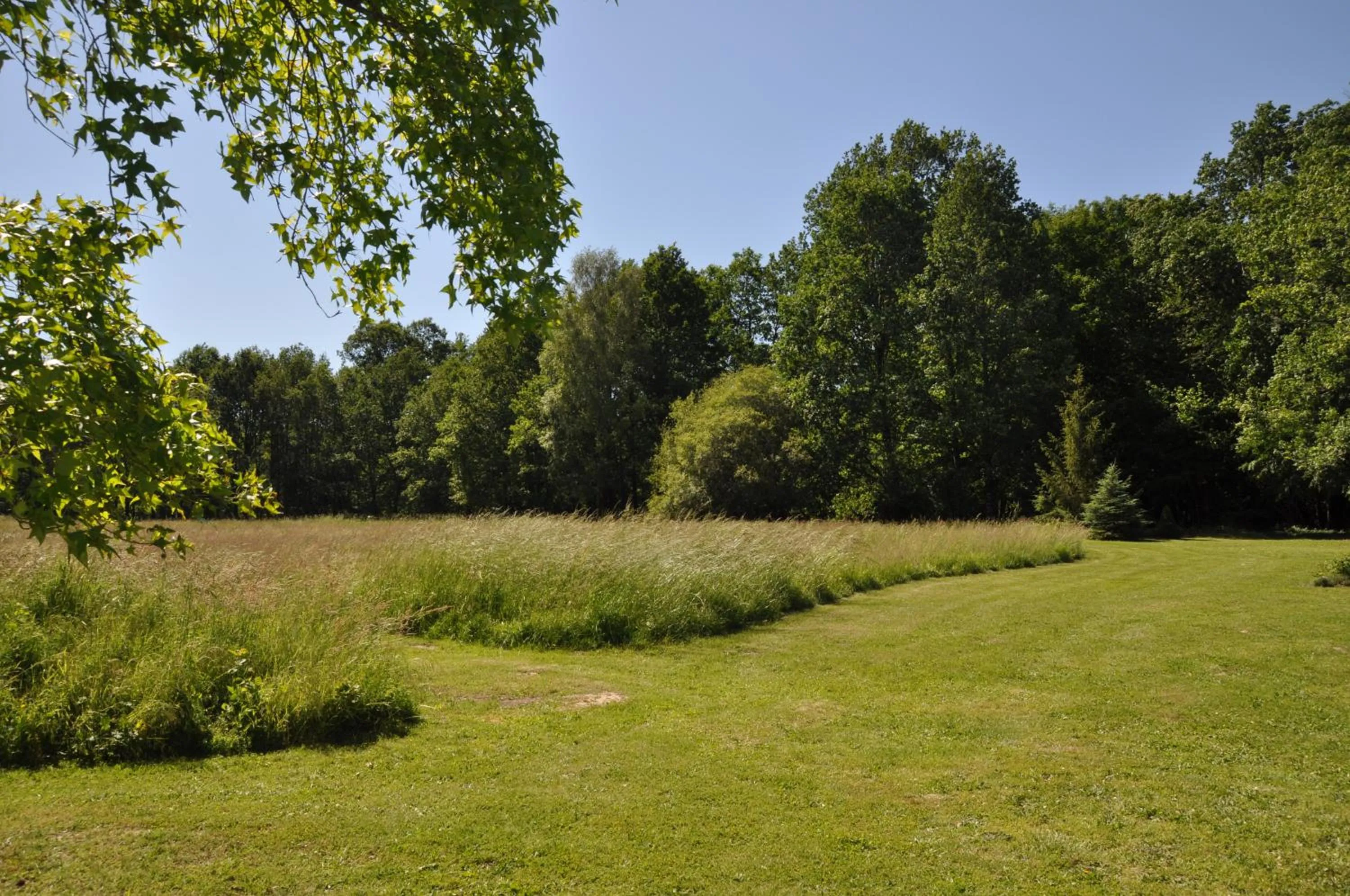 Natural landscape in Bienvenue au Mas