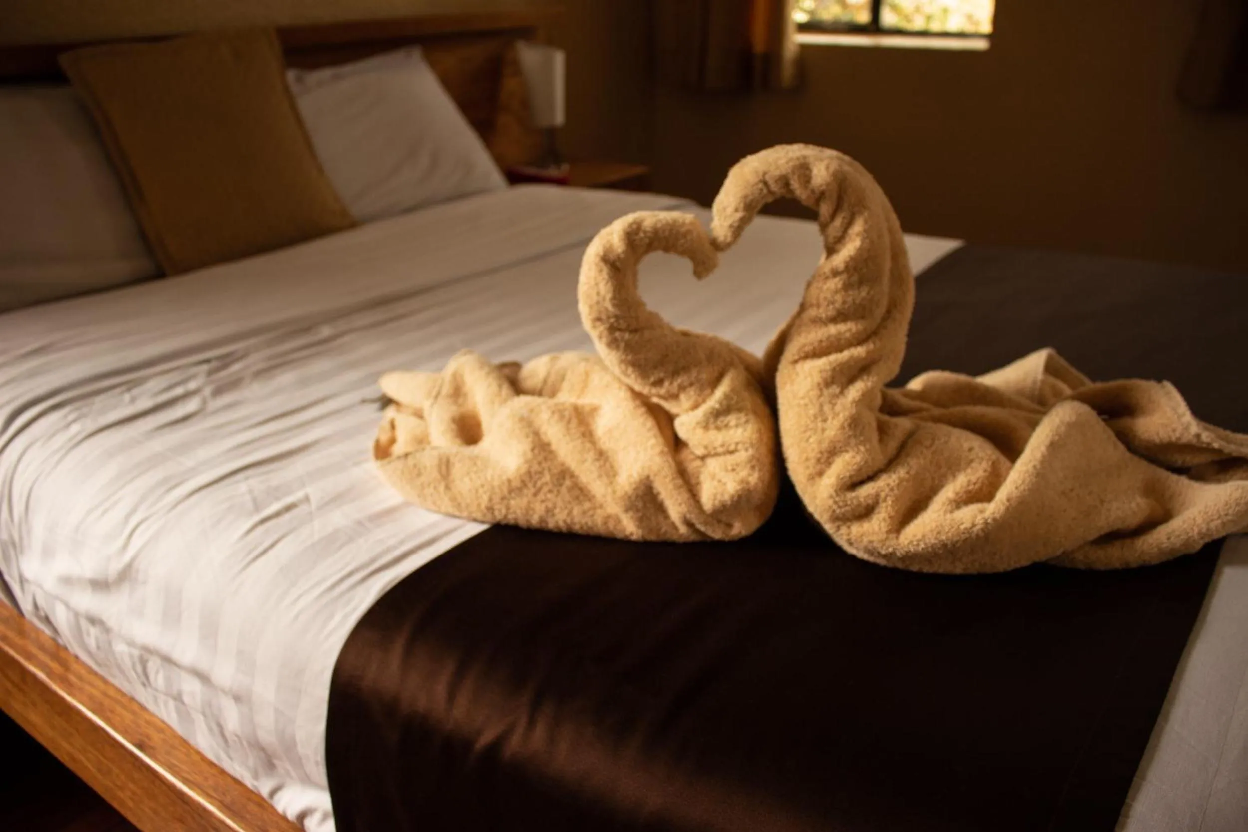 Bed in Hostal Loro Verde