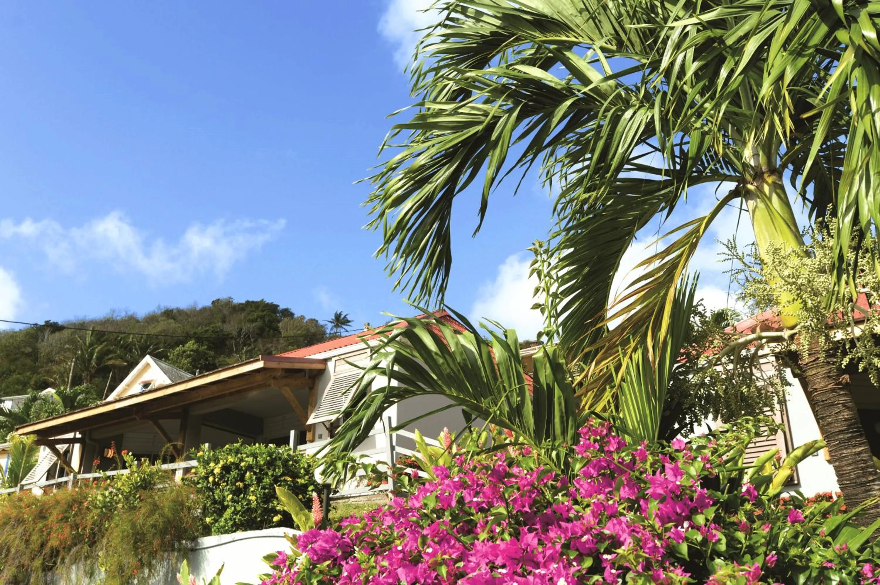 Garden in Le Panoramic