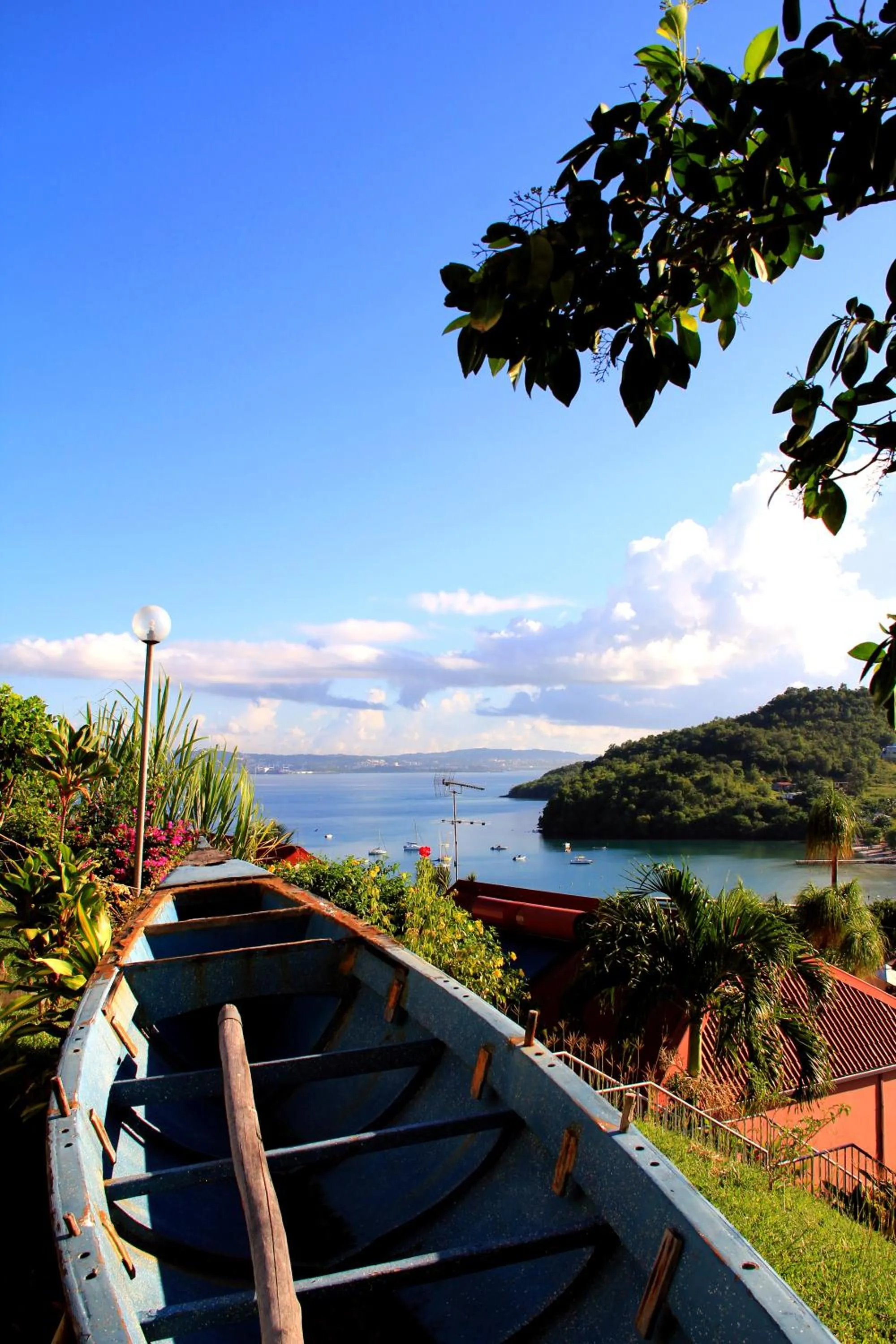 Garden in Le Panoramic