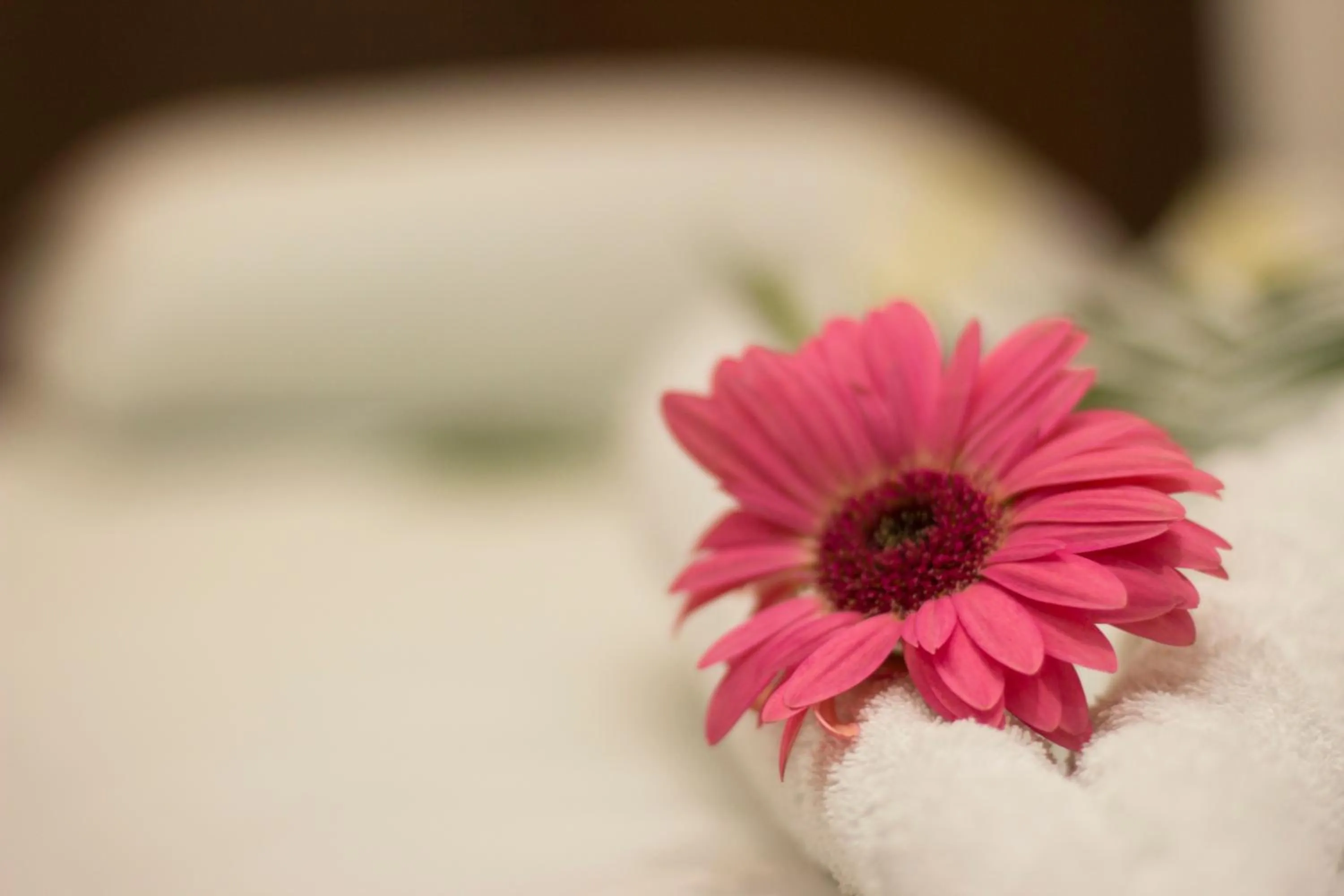 Decorative detail in Hotel Tabasco Rio