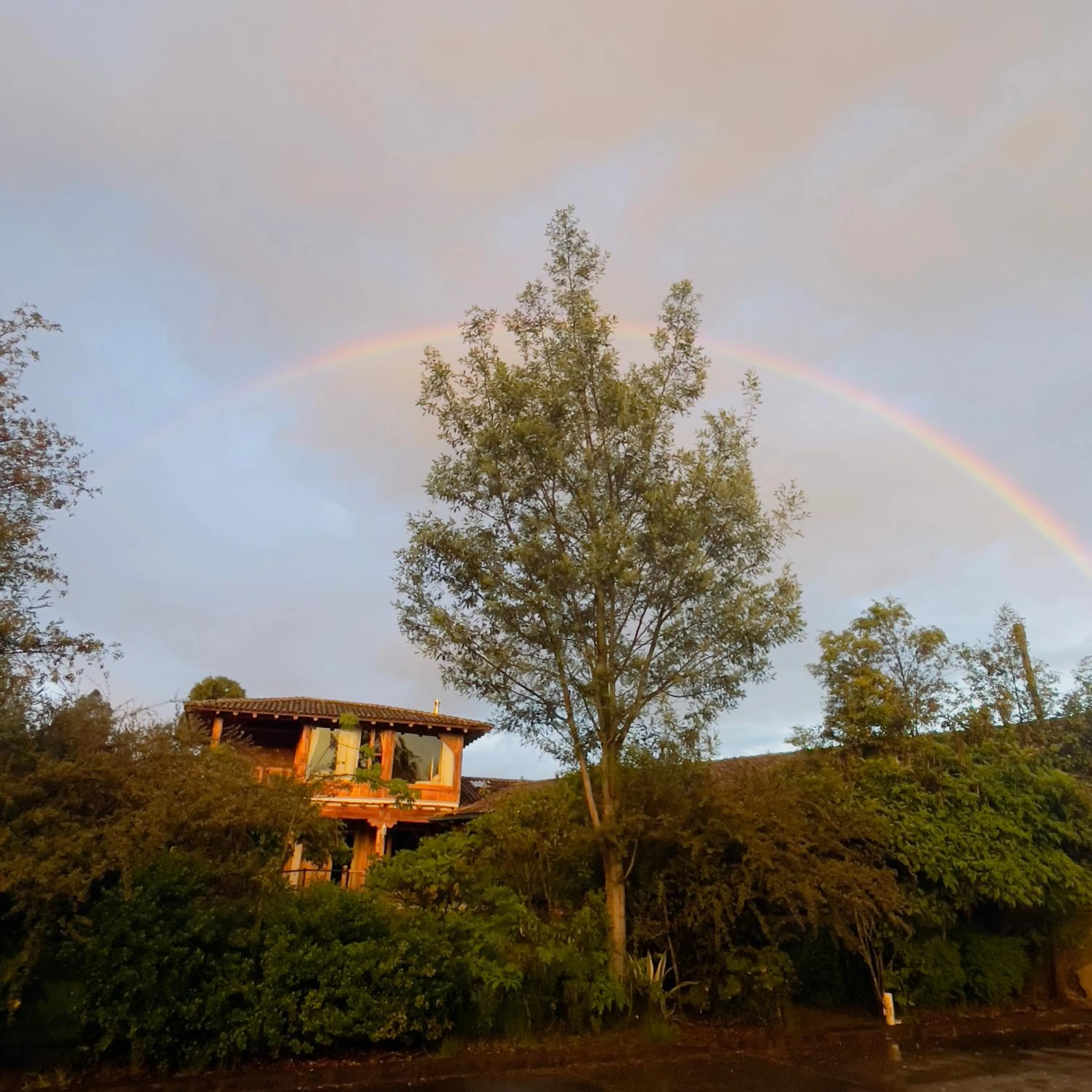 Decorative detail in Hacienda Jimenita Wildlife Reserve