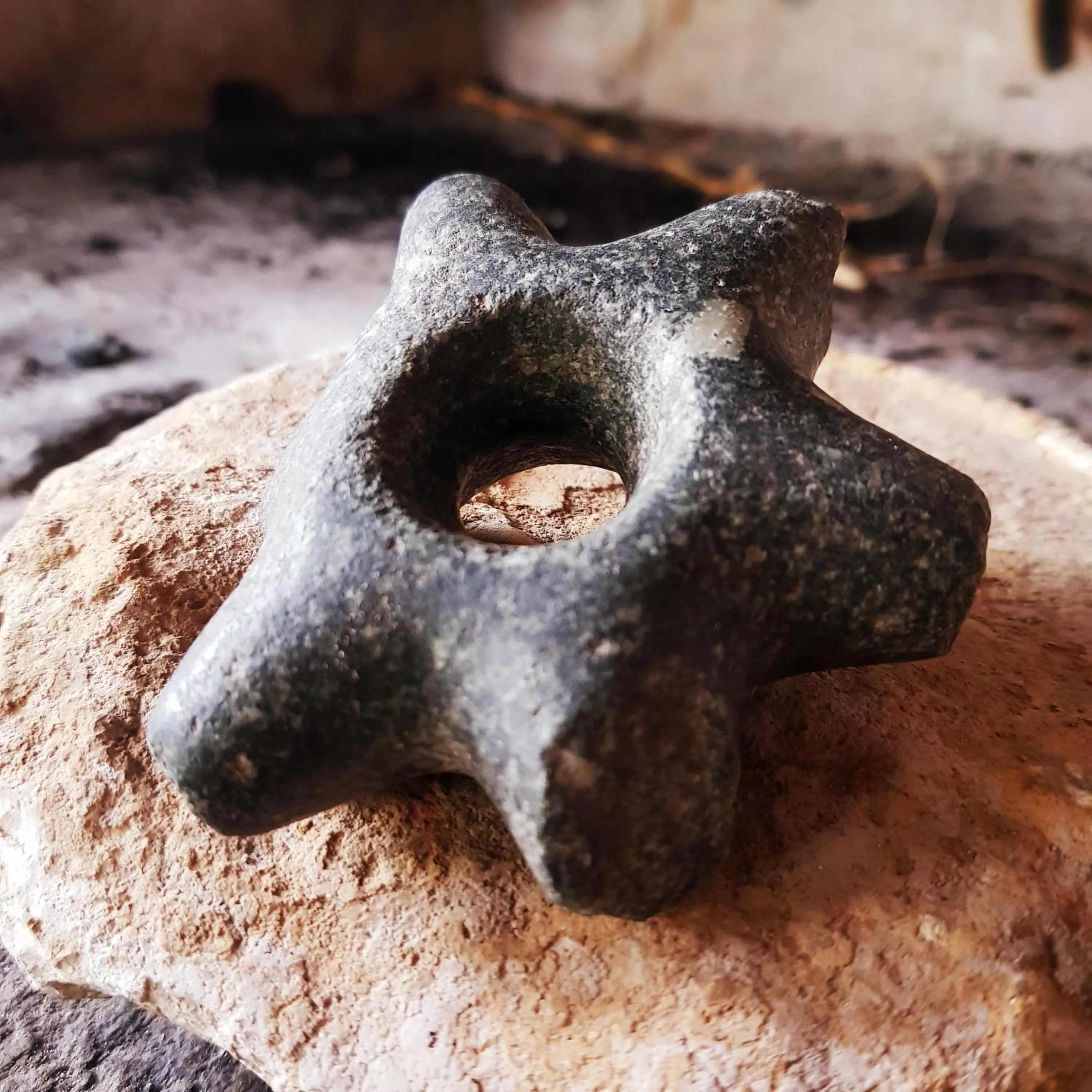 Activities in Hacienda Jimenita Wildlife Reserve