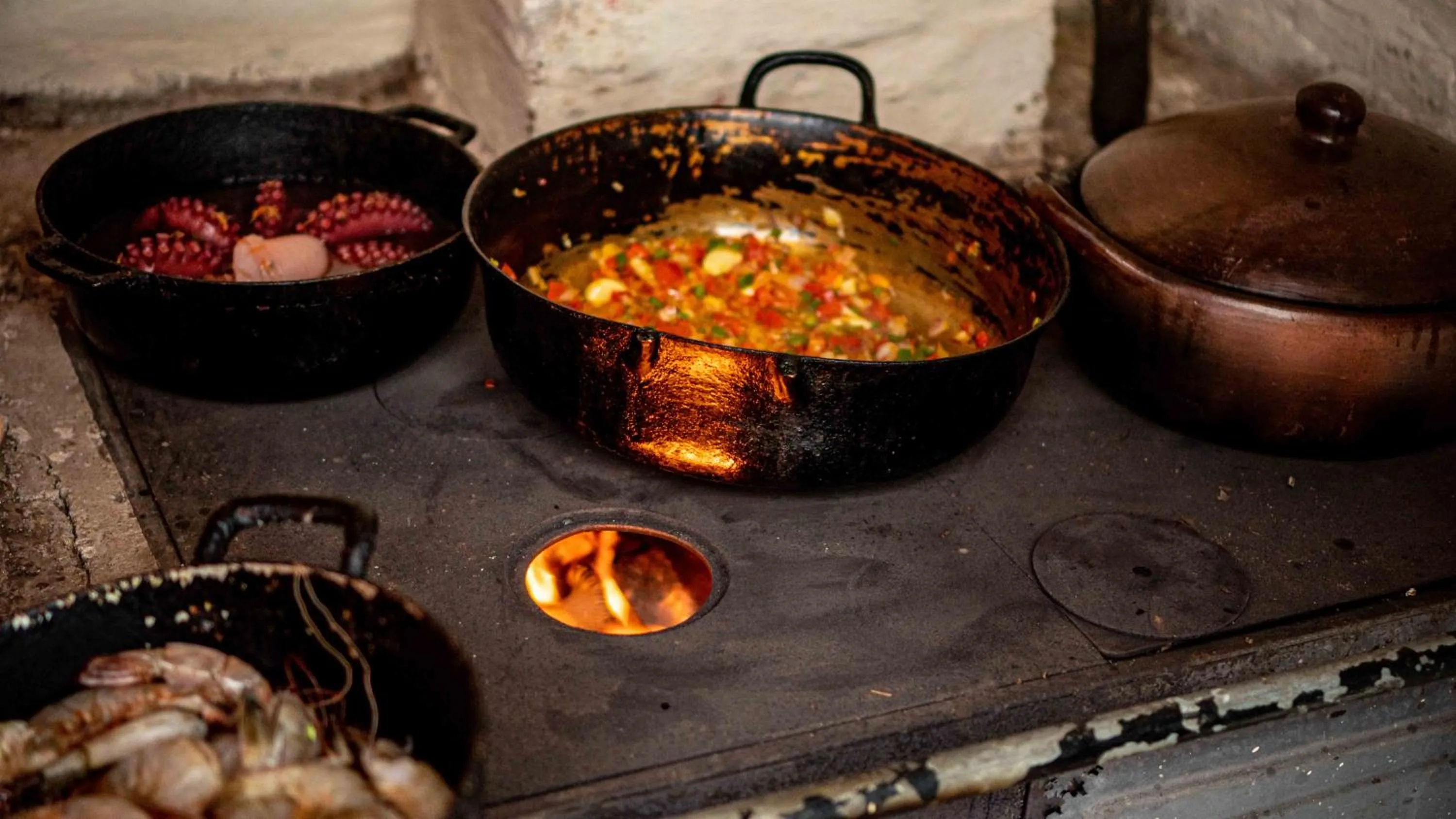 Food in Hacienda Jimenita Wildlife Reserve