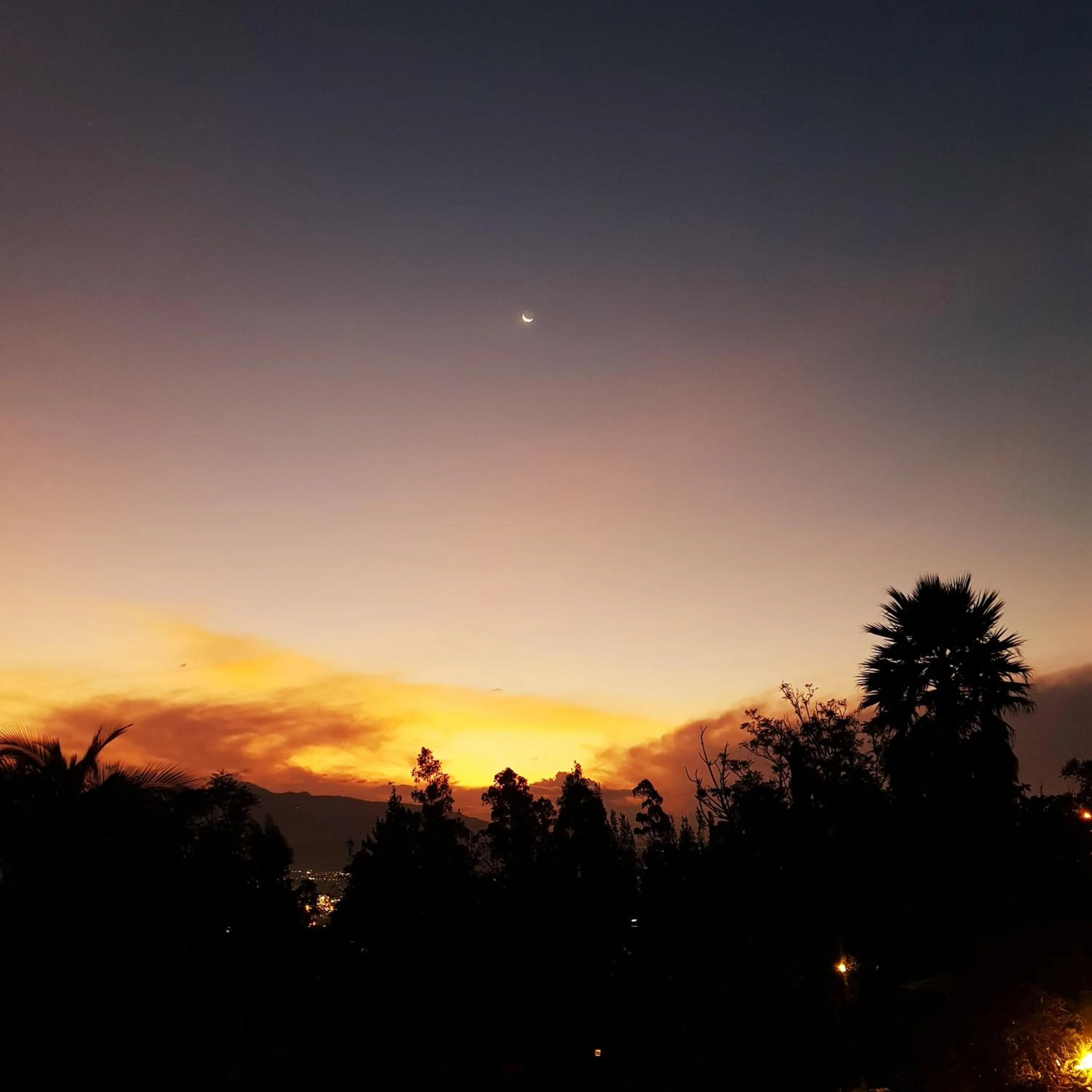 Natural landscape in Hacienda Jimenita Wildlife Reserve
