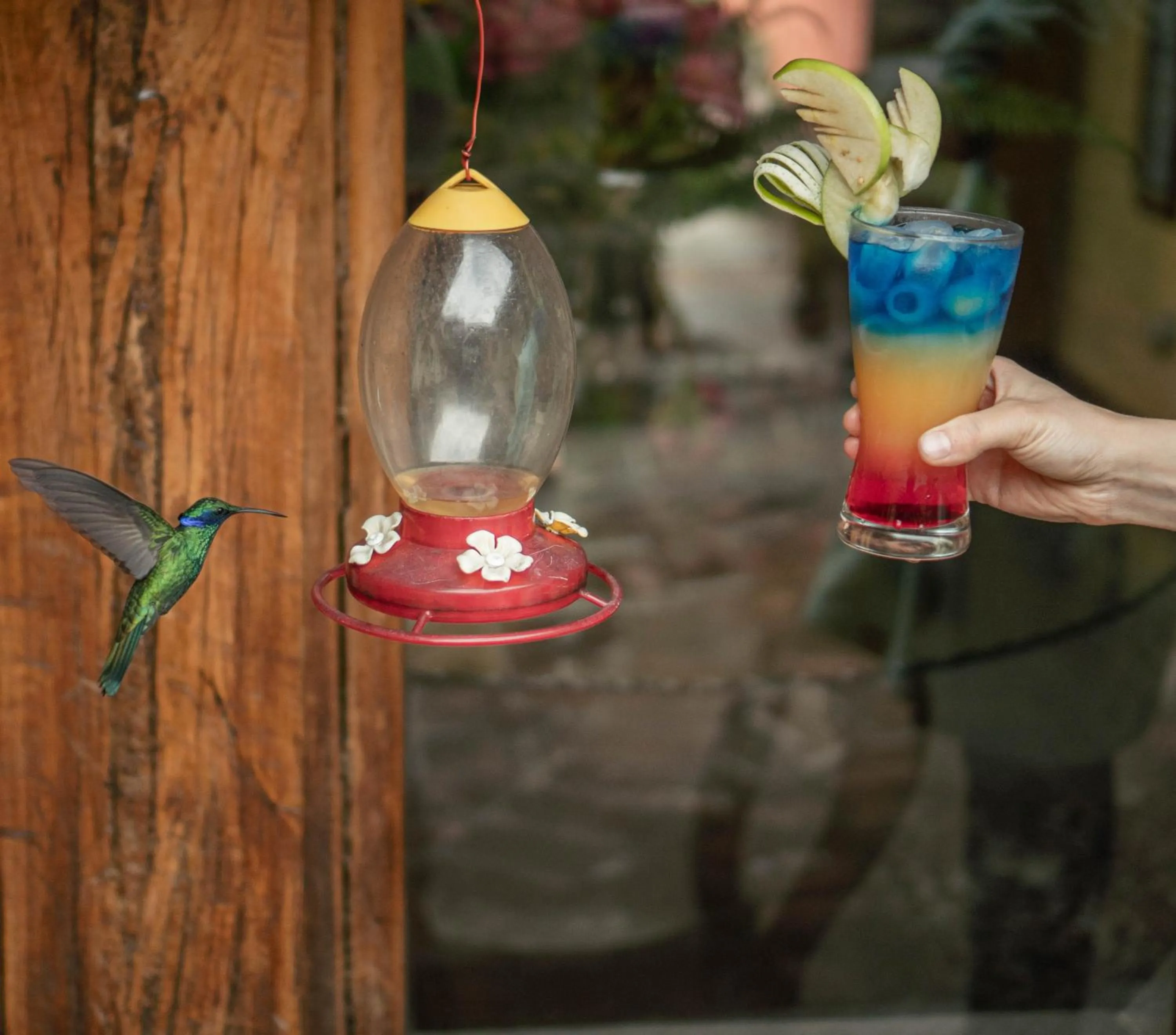 Drinks in Hacienda Jimenita Wildlife Reserve