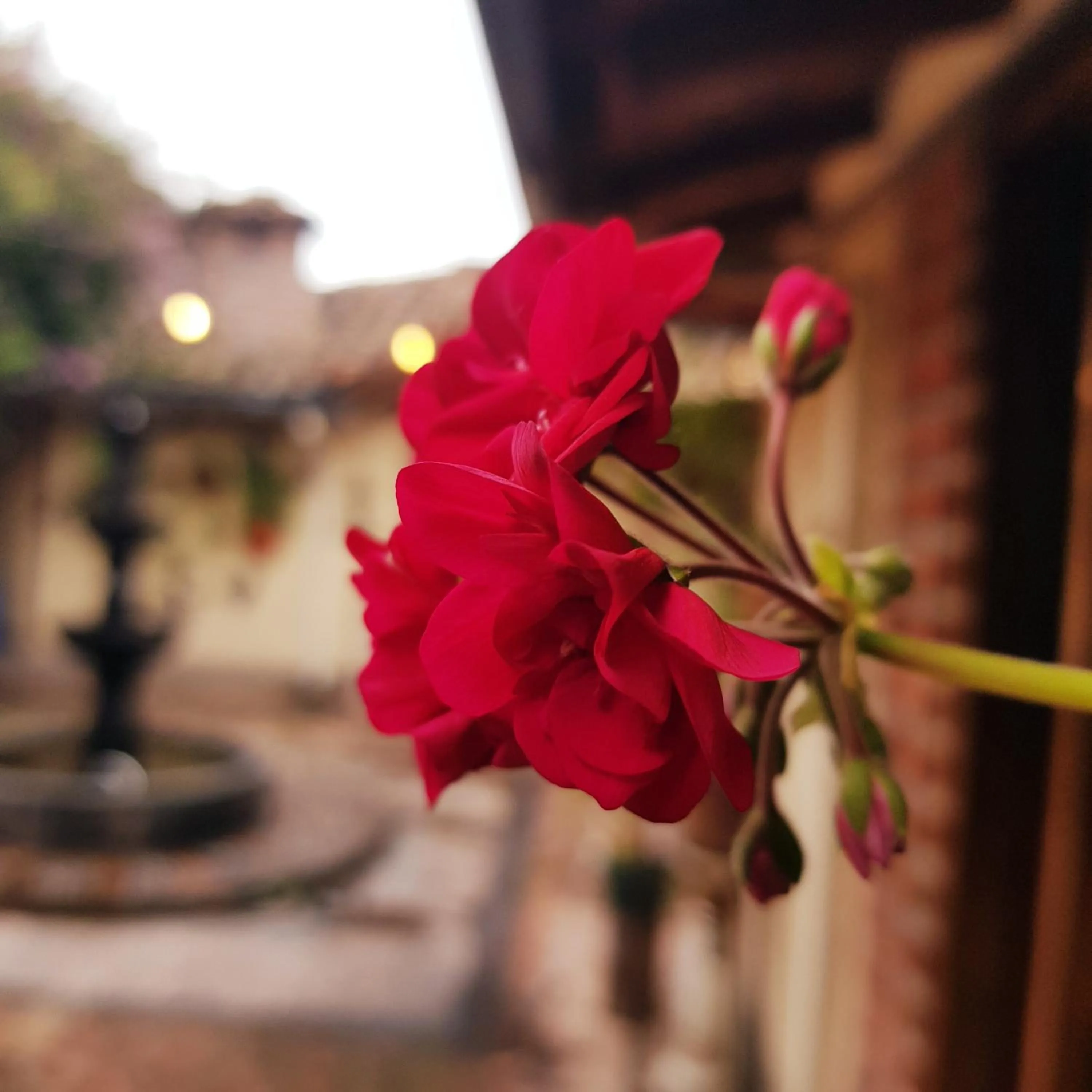 Natural landscape in Hacienda Jimenita Wildlife Reserve