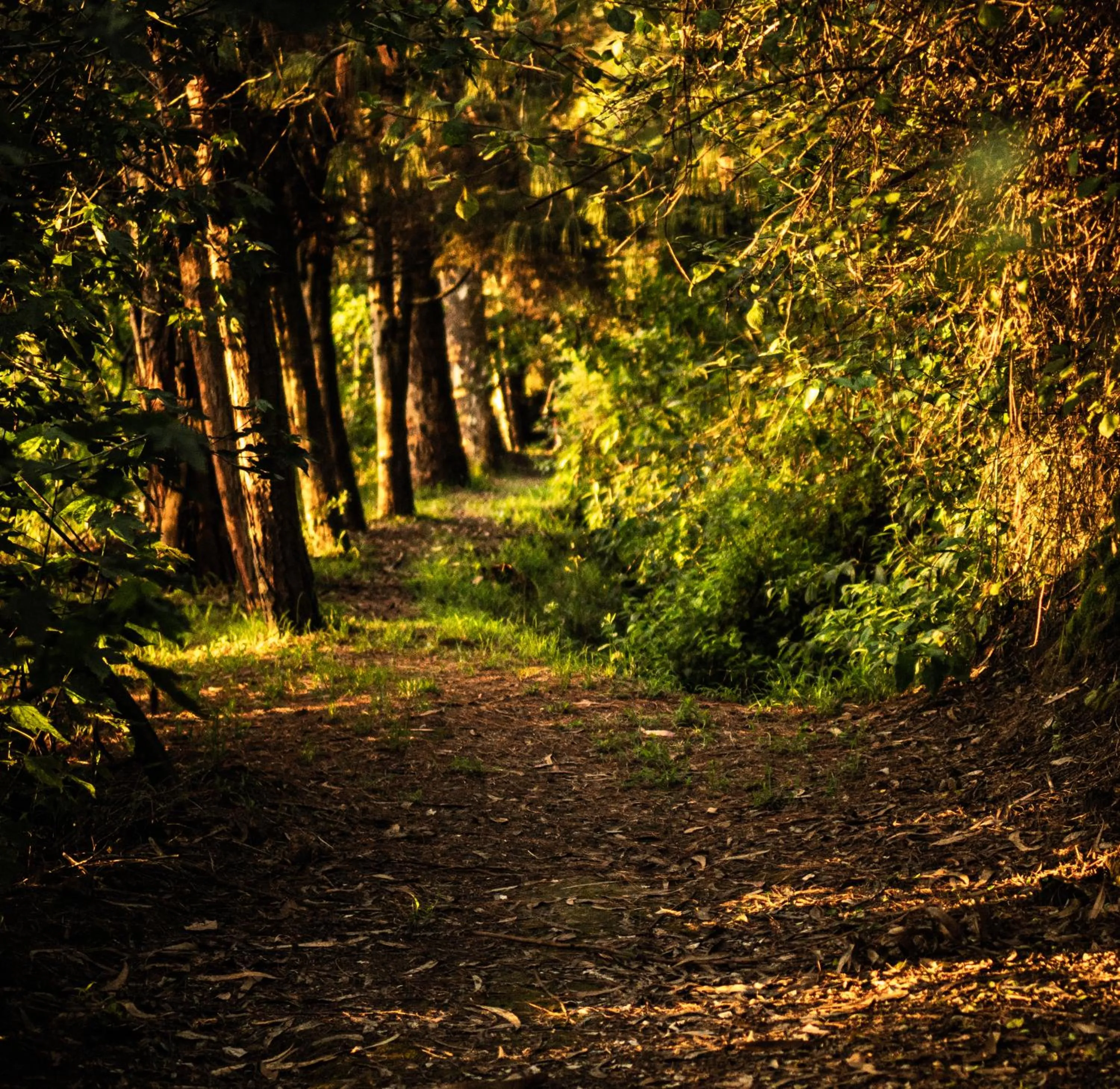 Activities in Hacienda Jimenita Wildlife Reserve