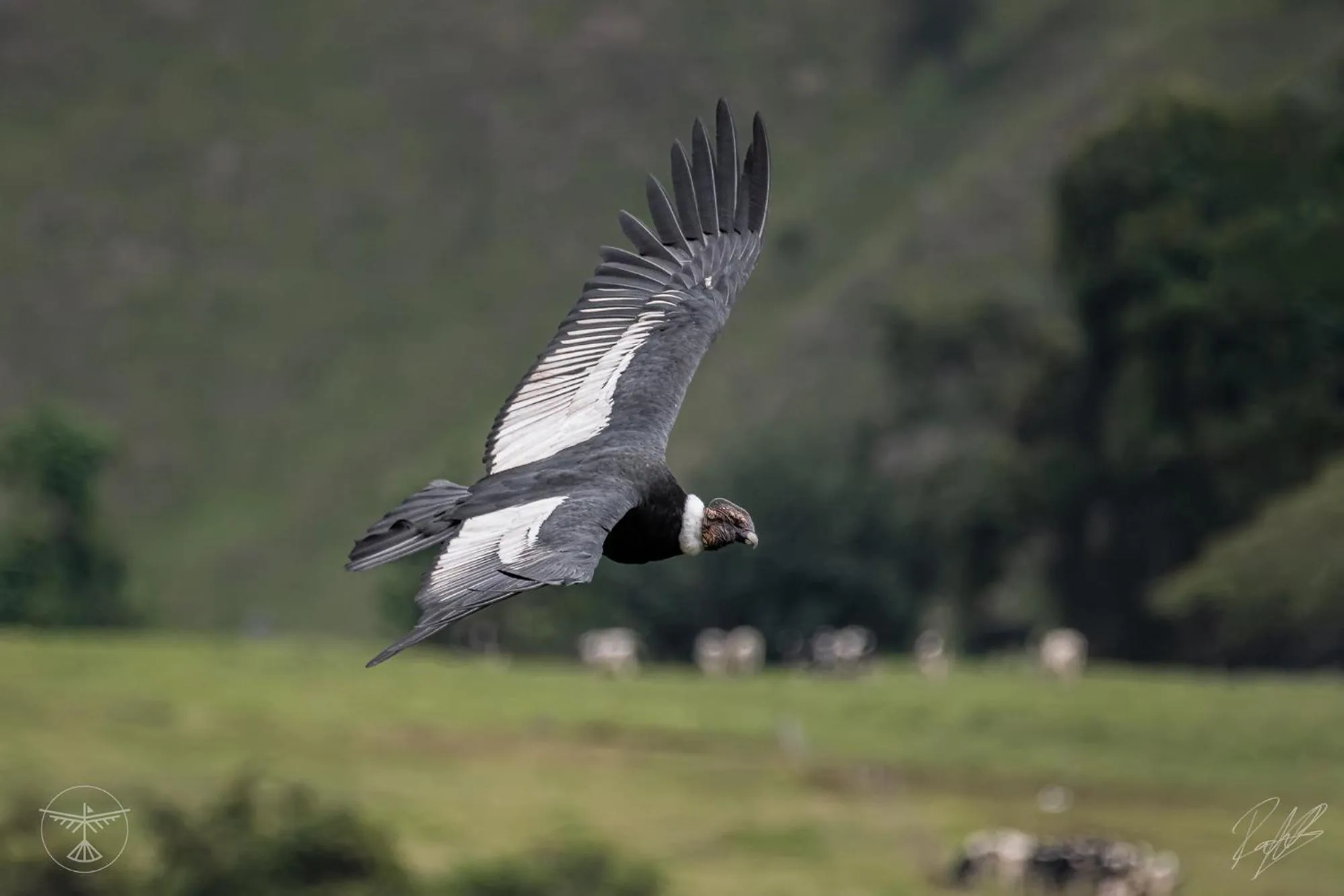 Natural landscape in Hacienda Jimenita Wildlife Reserve