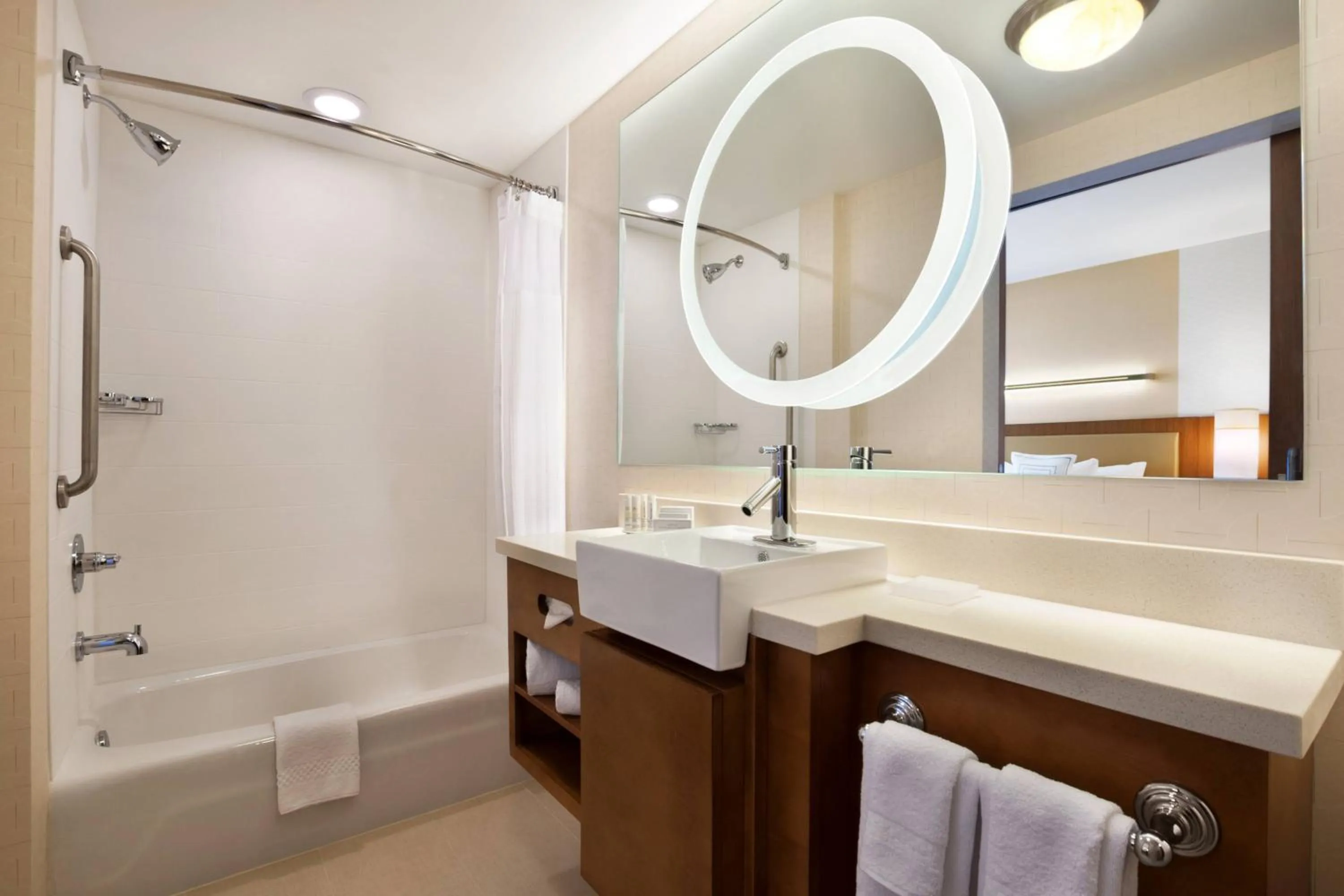 Bathroom in Springhill Suites by Marriott Jackson North/Ridgeland