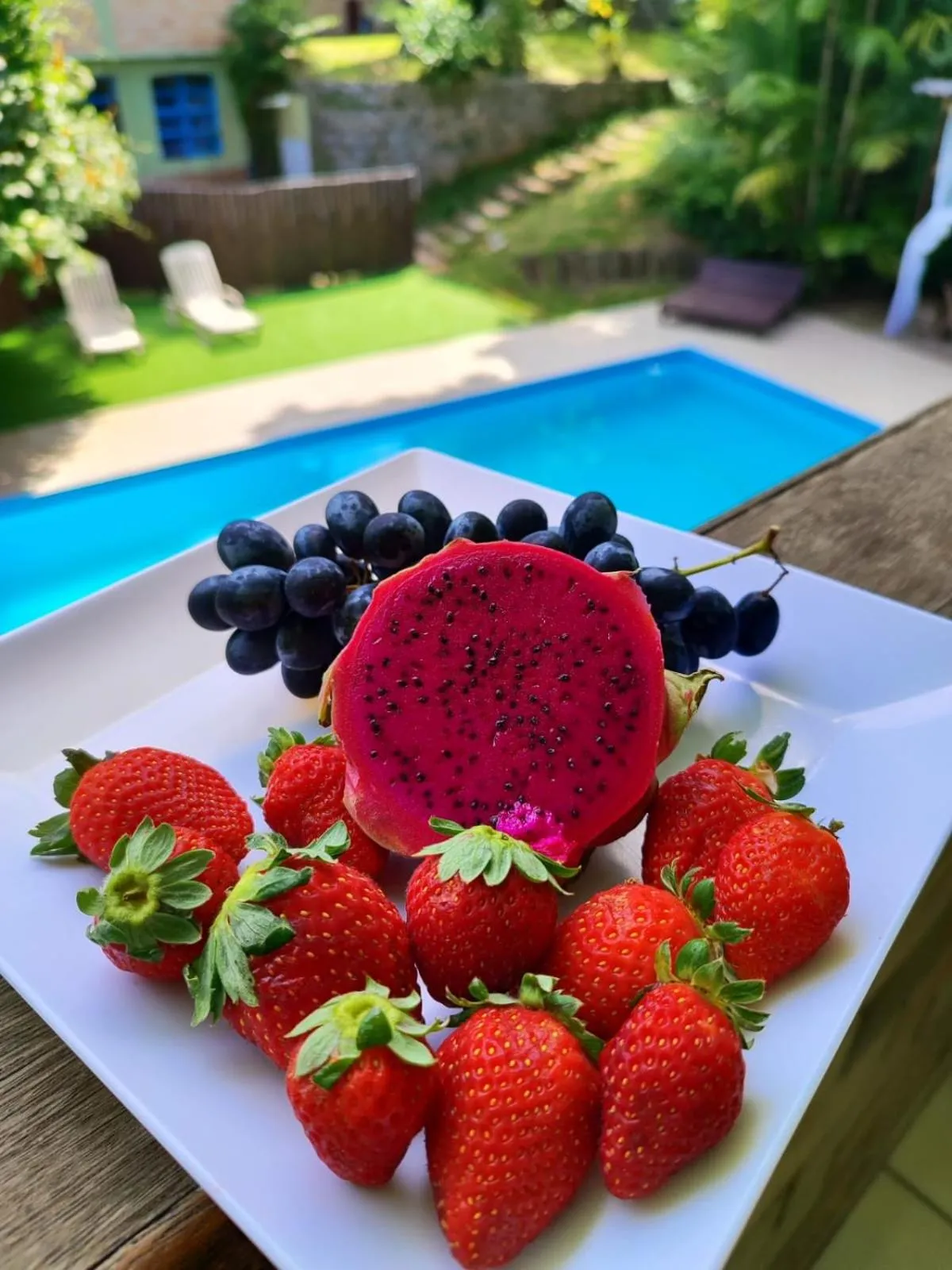 Pool view in Pousada Dona Francisca