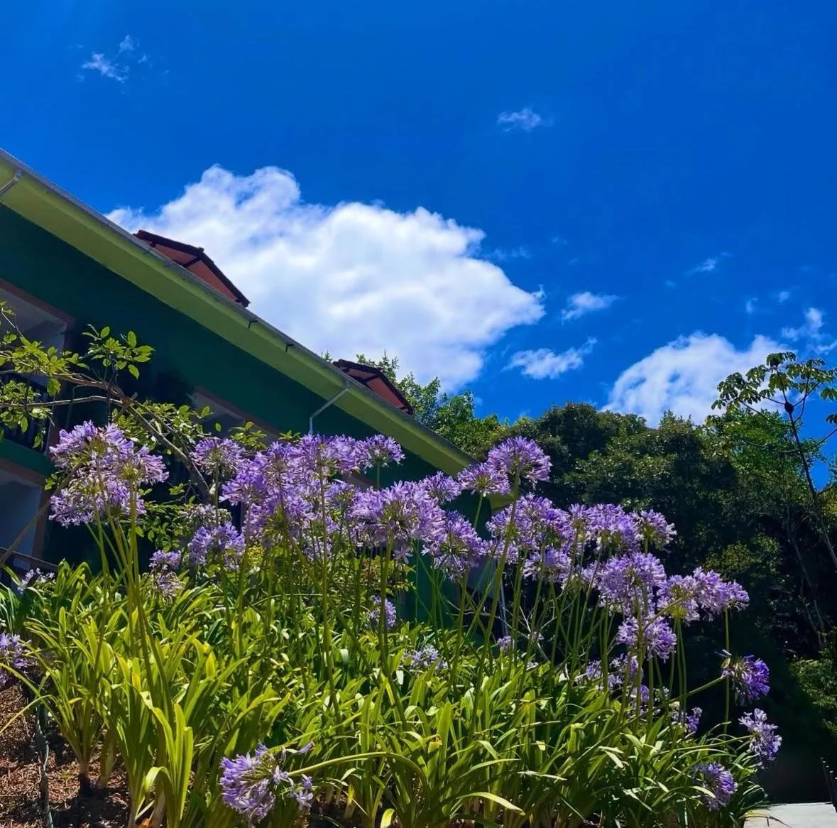 Spring in Pousada Dona Francisca