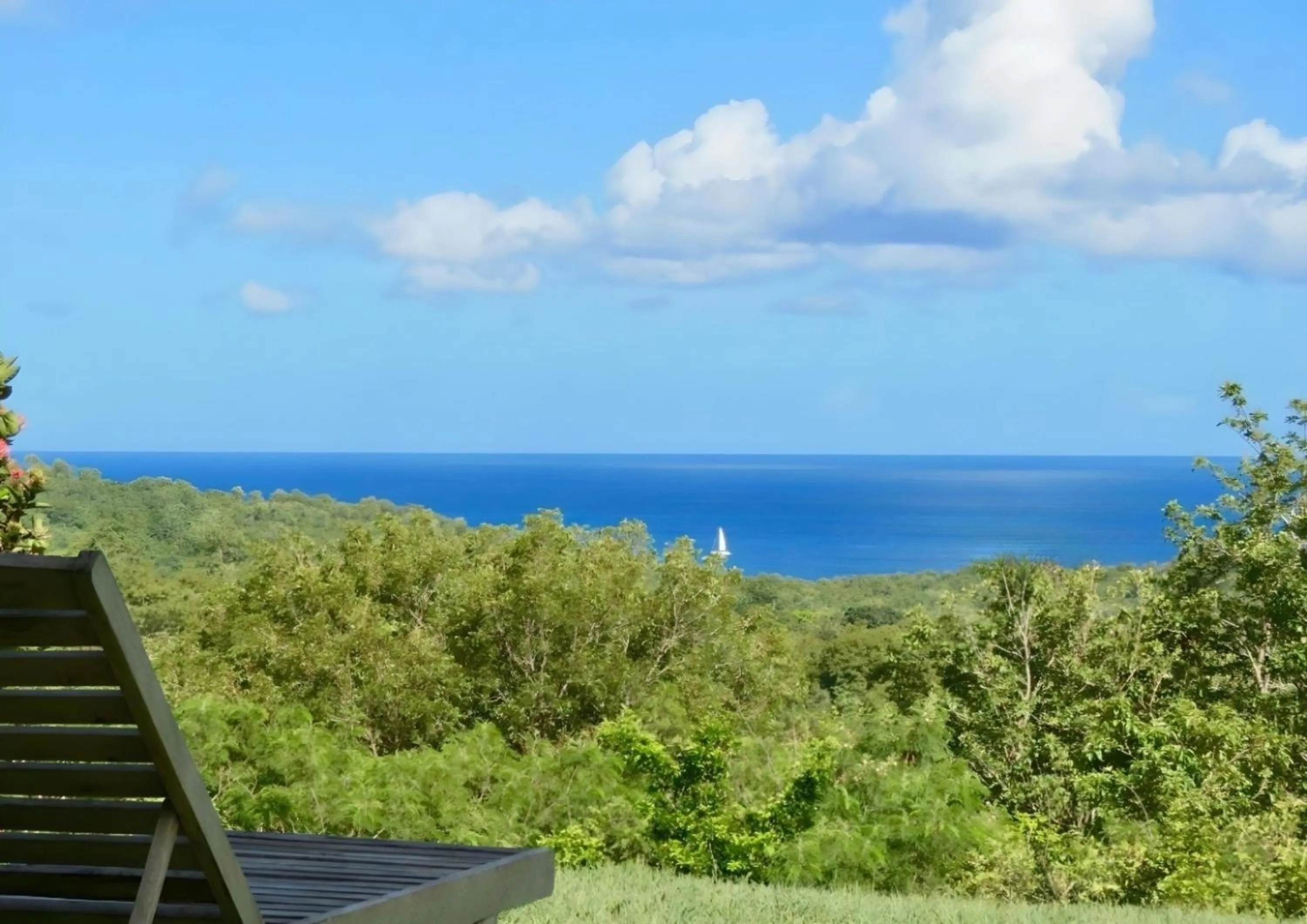 Natural landscape in Domaine de l'Anse Ramier