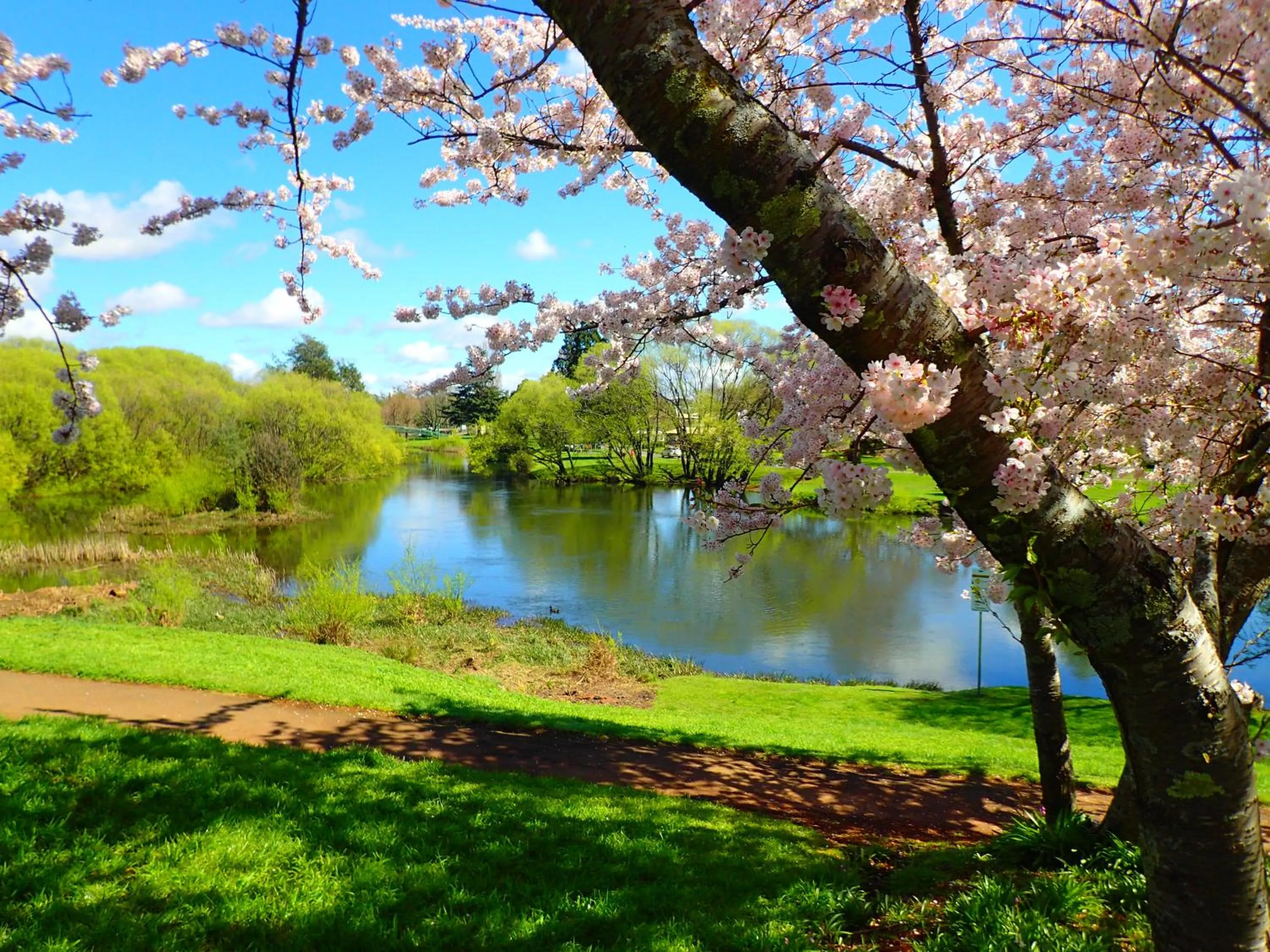 Spring in Blakes Manor Self Contained Heritage Accommodation