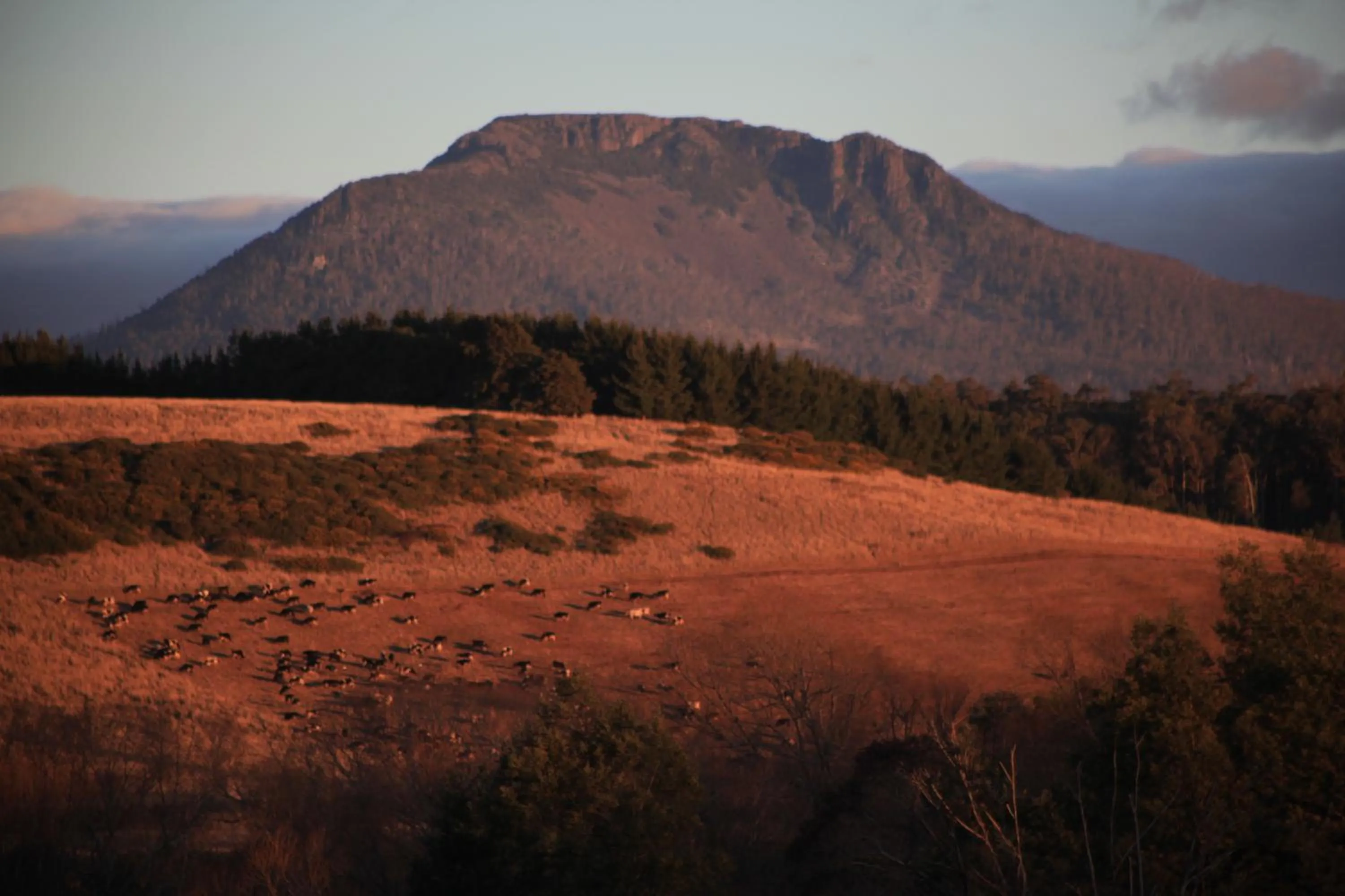 Natural landscape in Blakes Manor Self Contained Heritage Accommodation