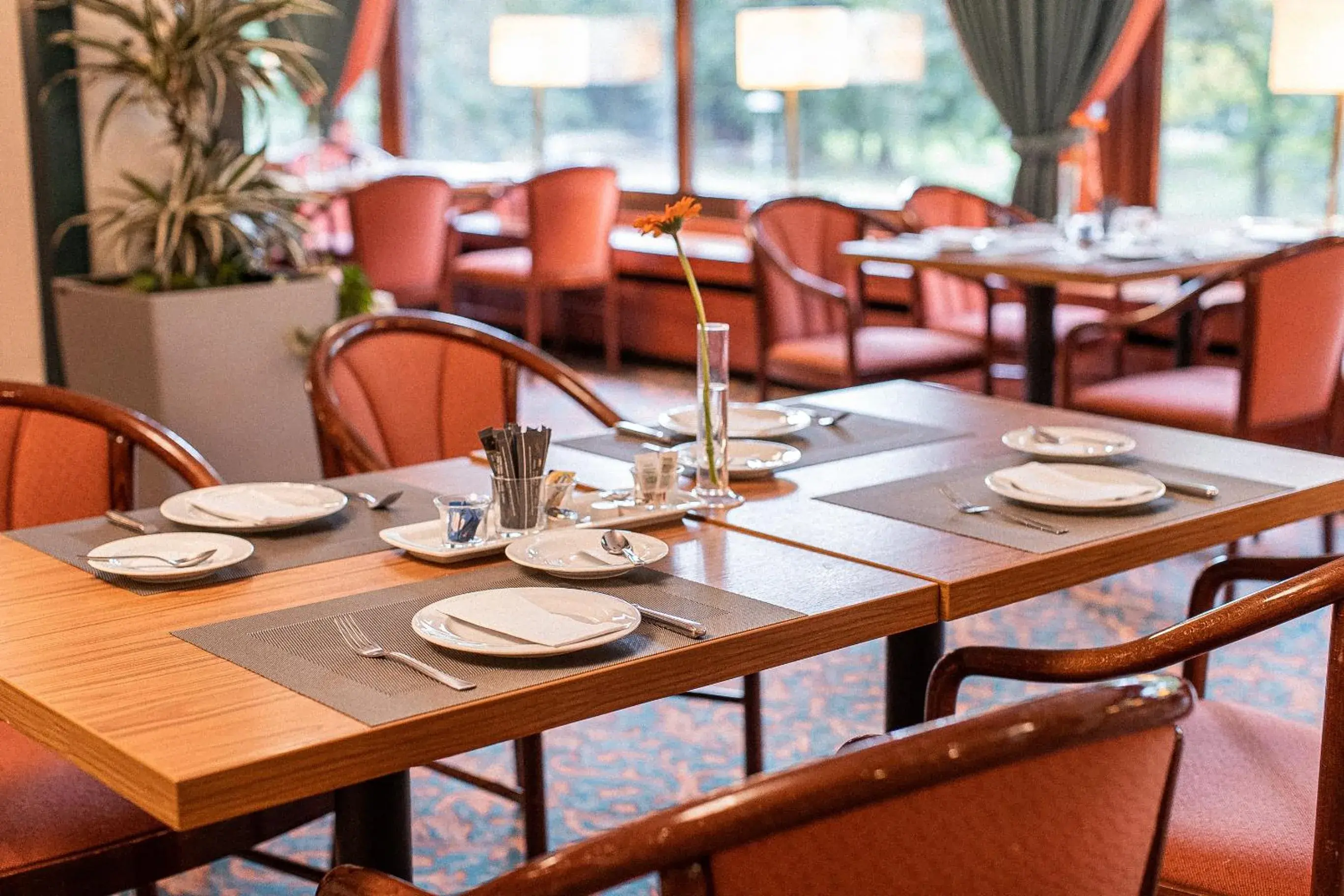 Breakfast in PLAZA Hotel Gelsenkirchen Breakfast in PLAZA Hotel Gelsenkirchen