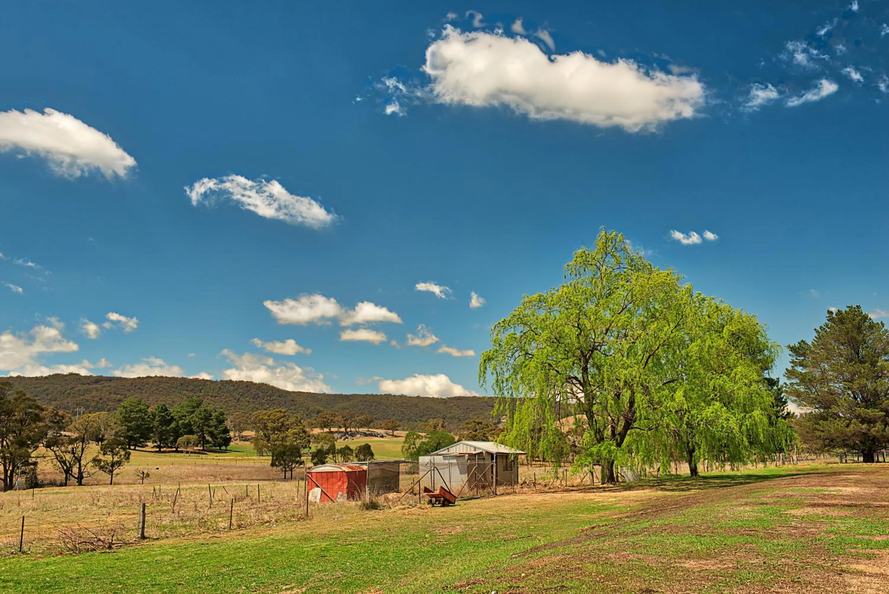 View (from property/room) in Bushman's Motor Inn