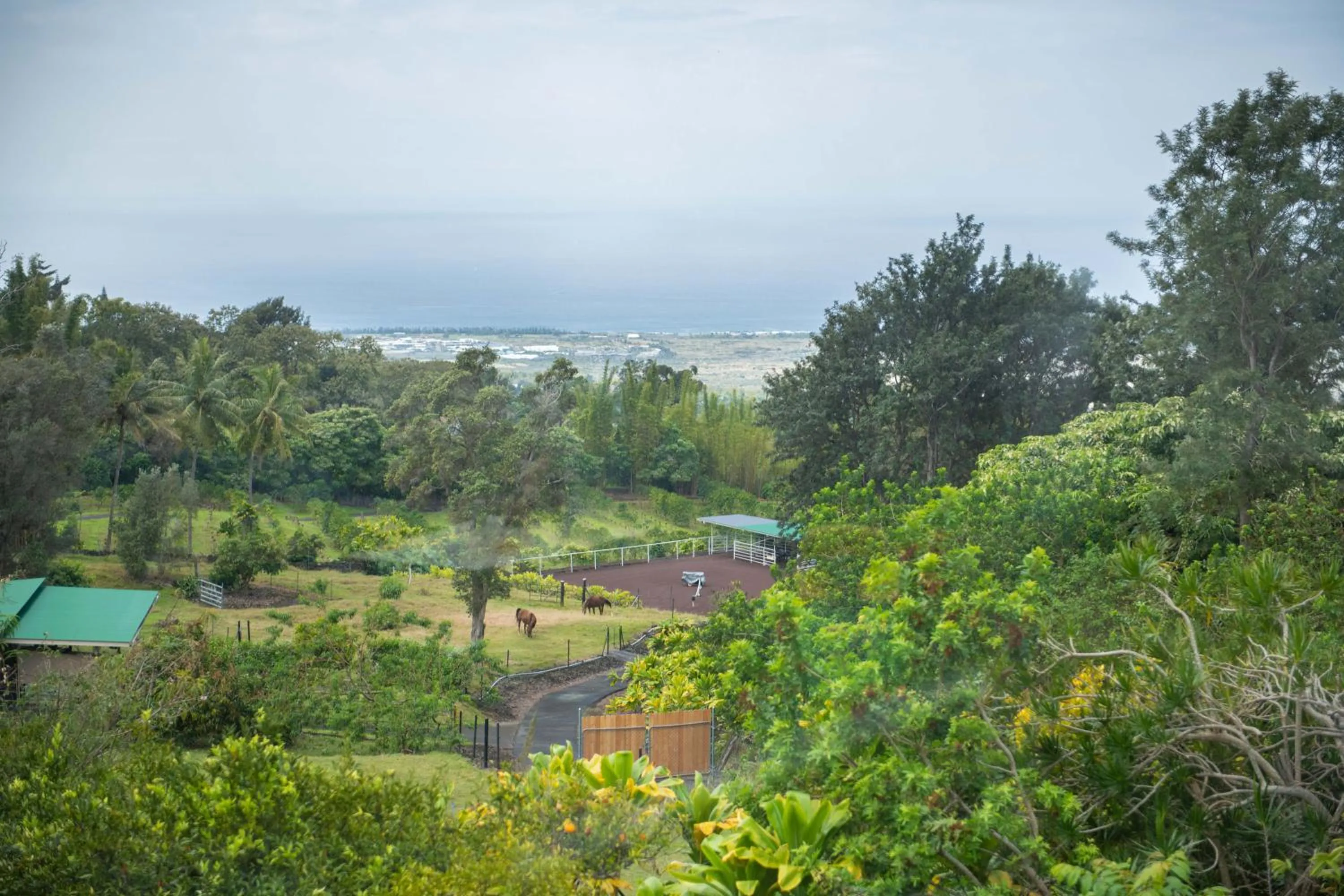 Aeolian Ranch Guest house