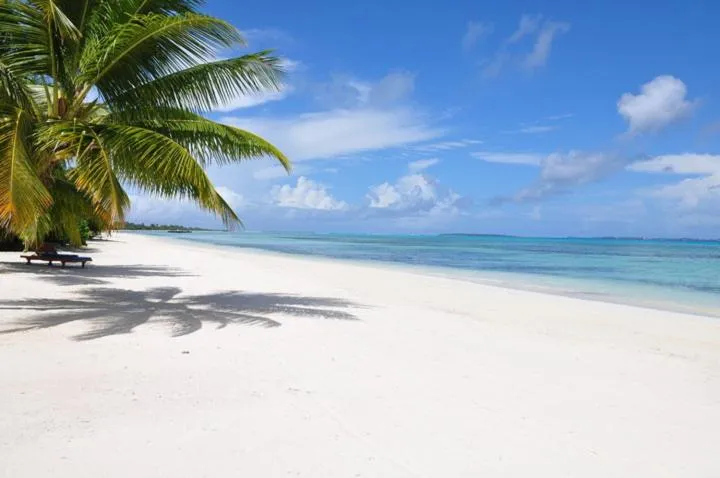 Day in Charming Holiday Lodge